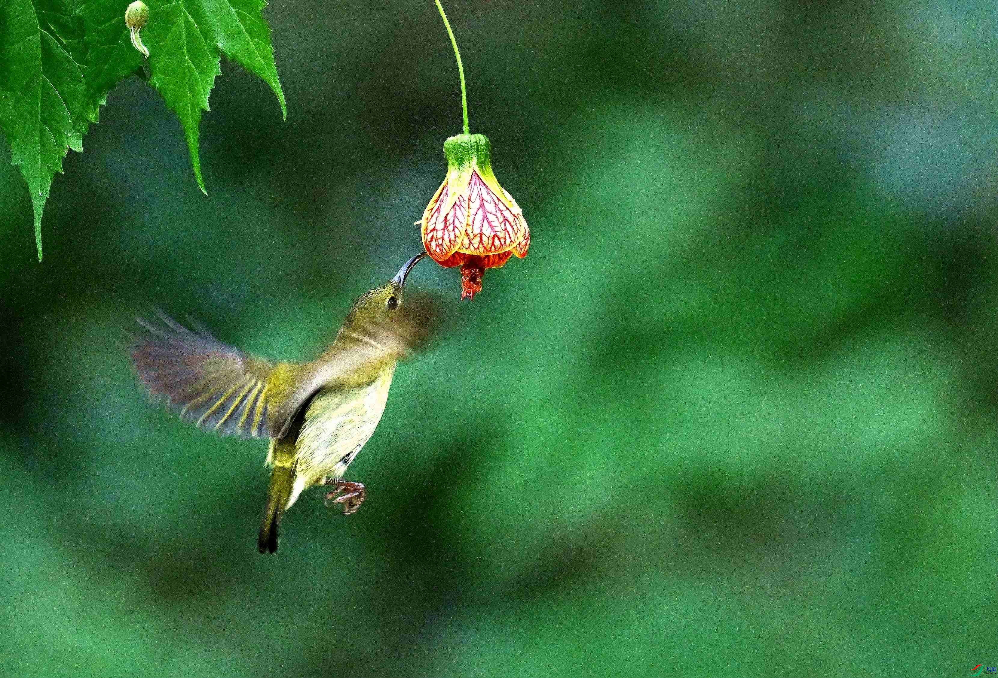 DSC_6102.jpg
