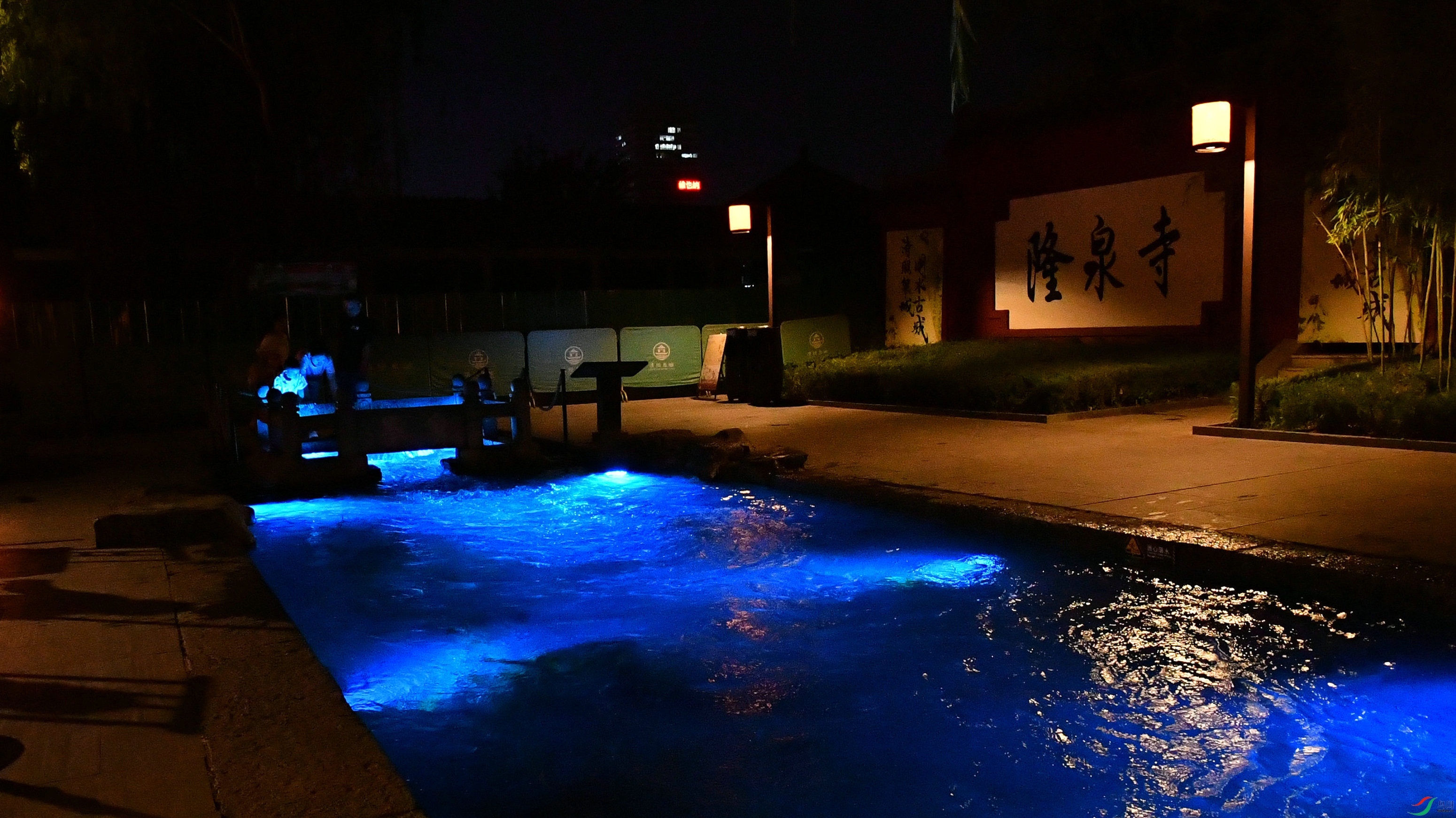 DSC_8350.JPG