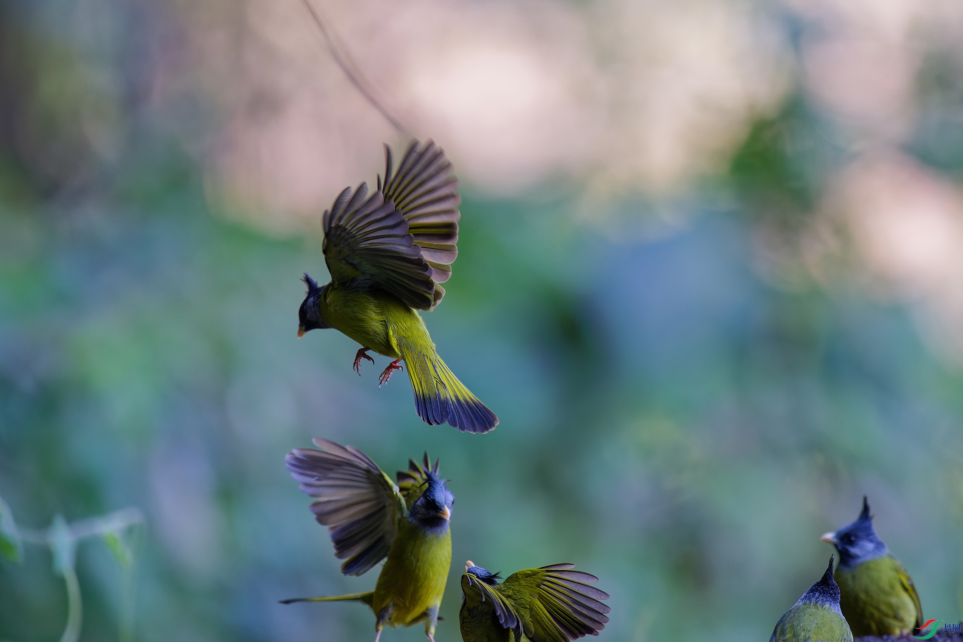 DSC_4644_DxO_DxO.jpga.jpg