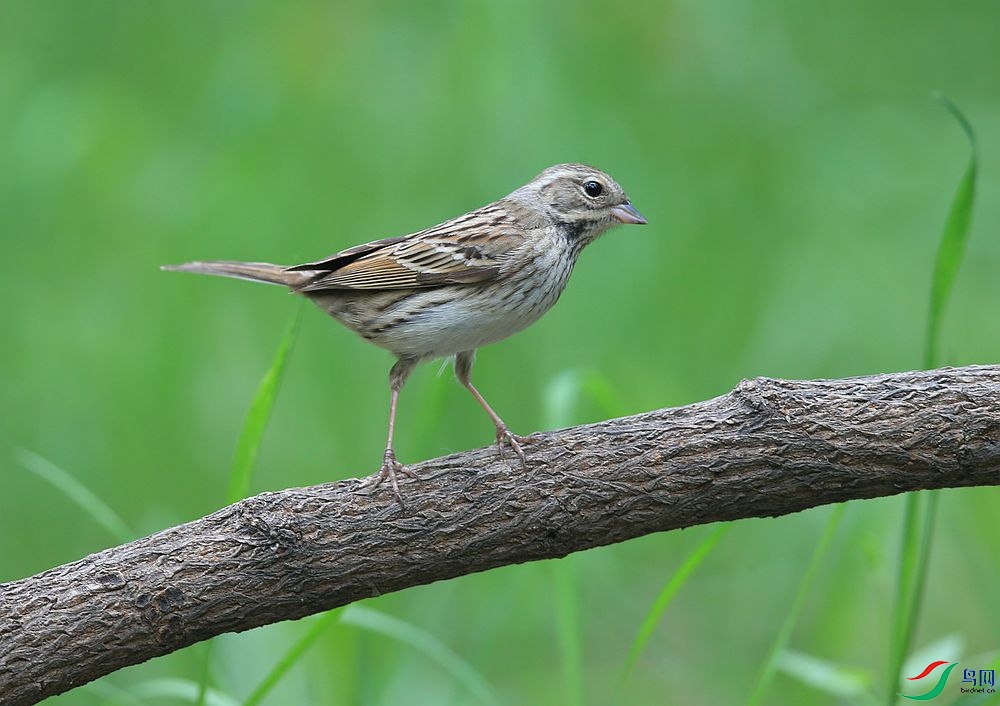 D72T6255.JPG