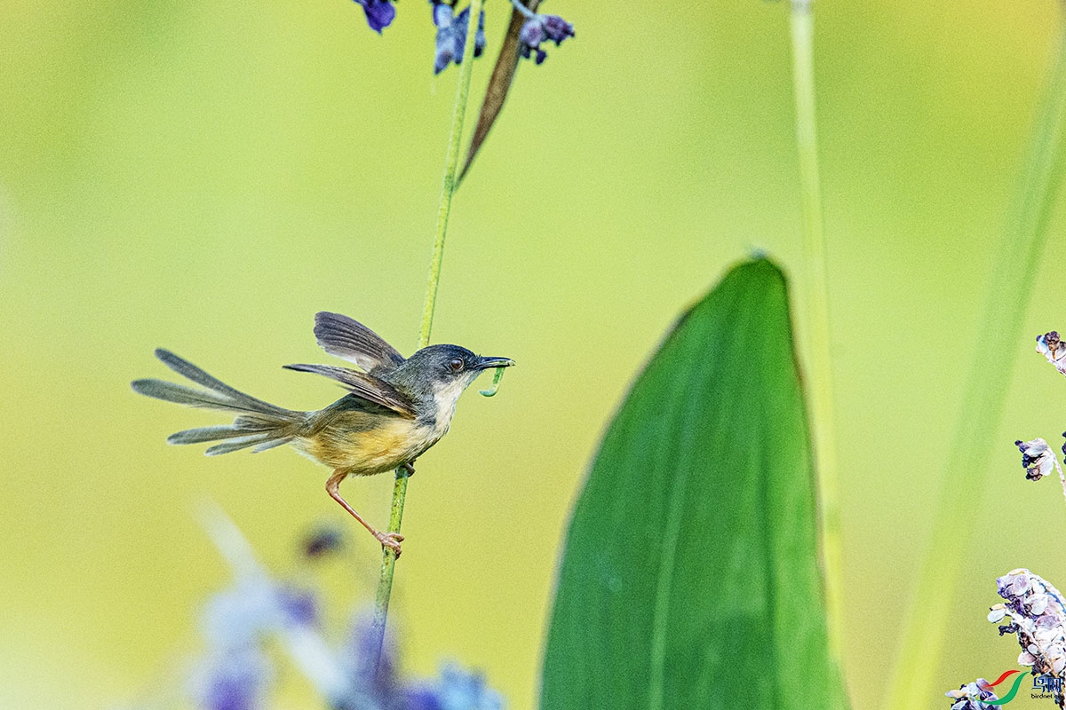 DSC_6189.jpg