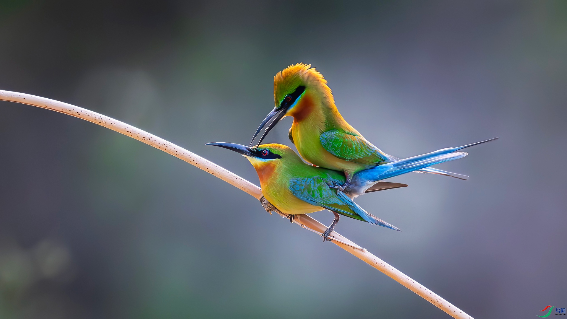 _DSC3048-����ǿ-NR-����-2.jpg