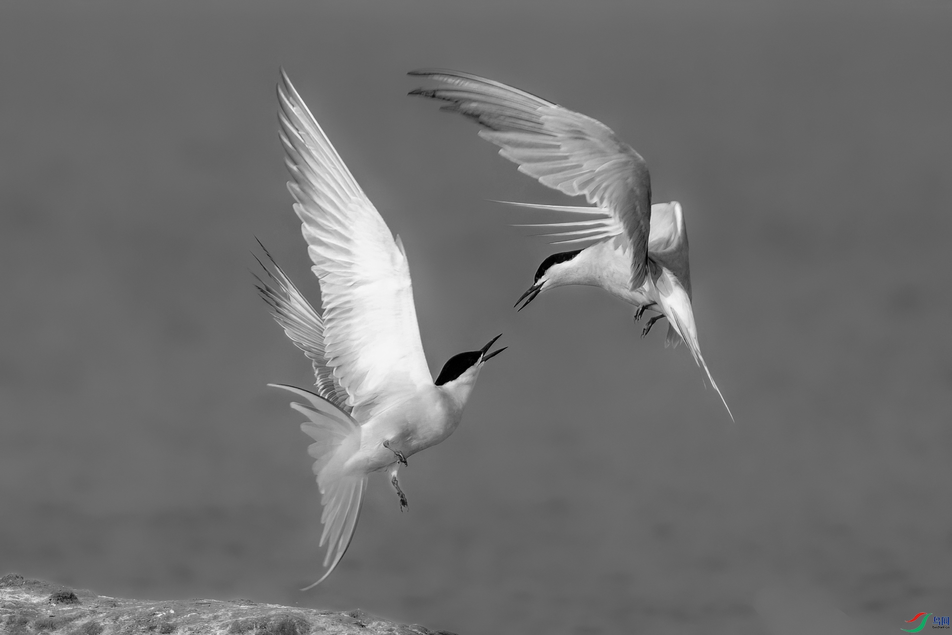 1P8A8520.jpg