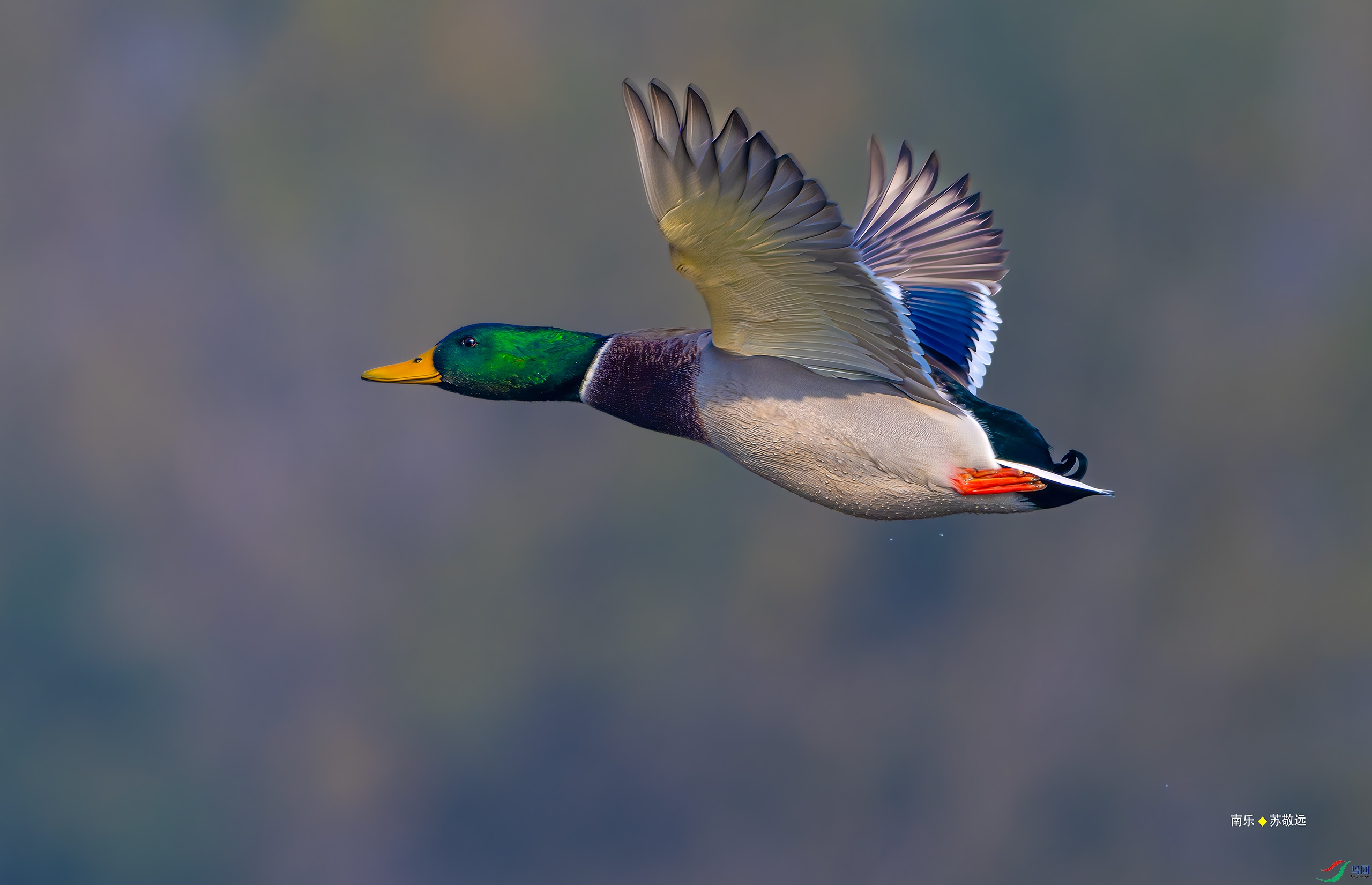 _DSC5102-DxO_С.jpg