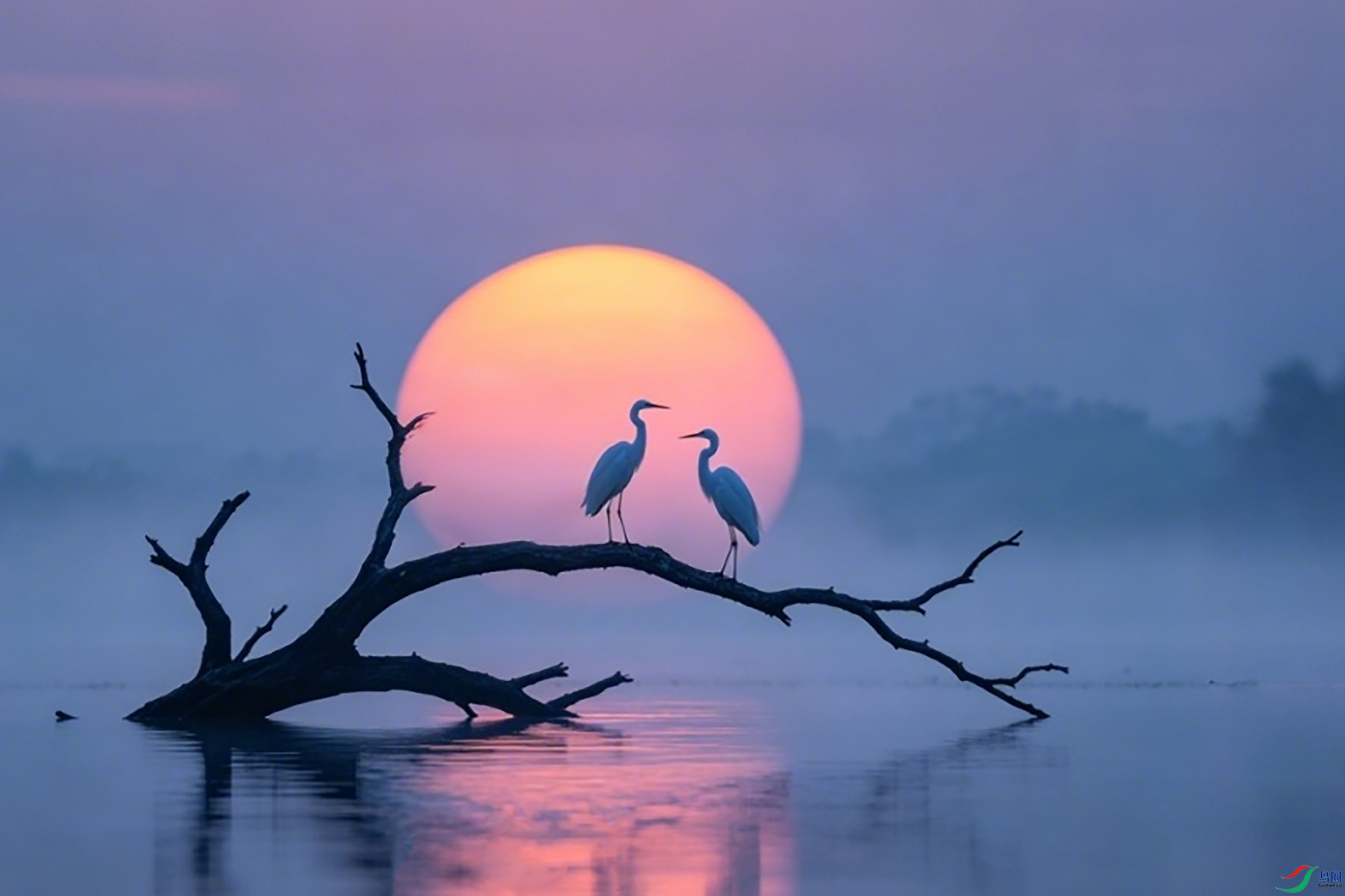 �羰��Ӱ��ʾ������1.jpg