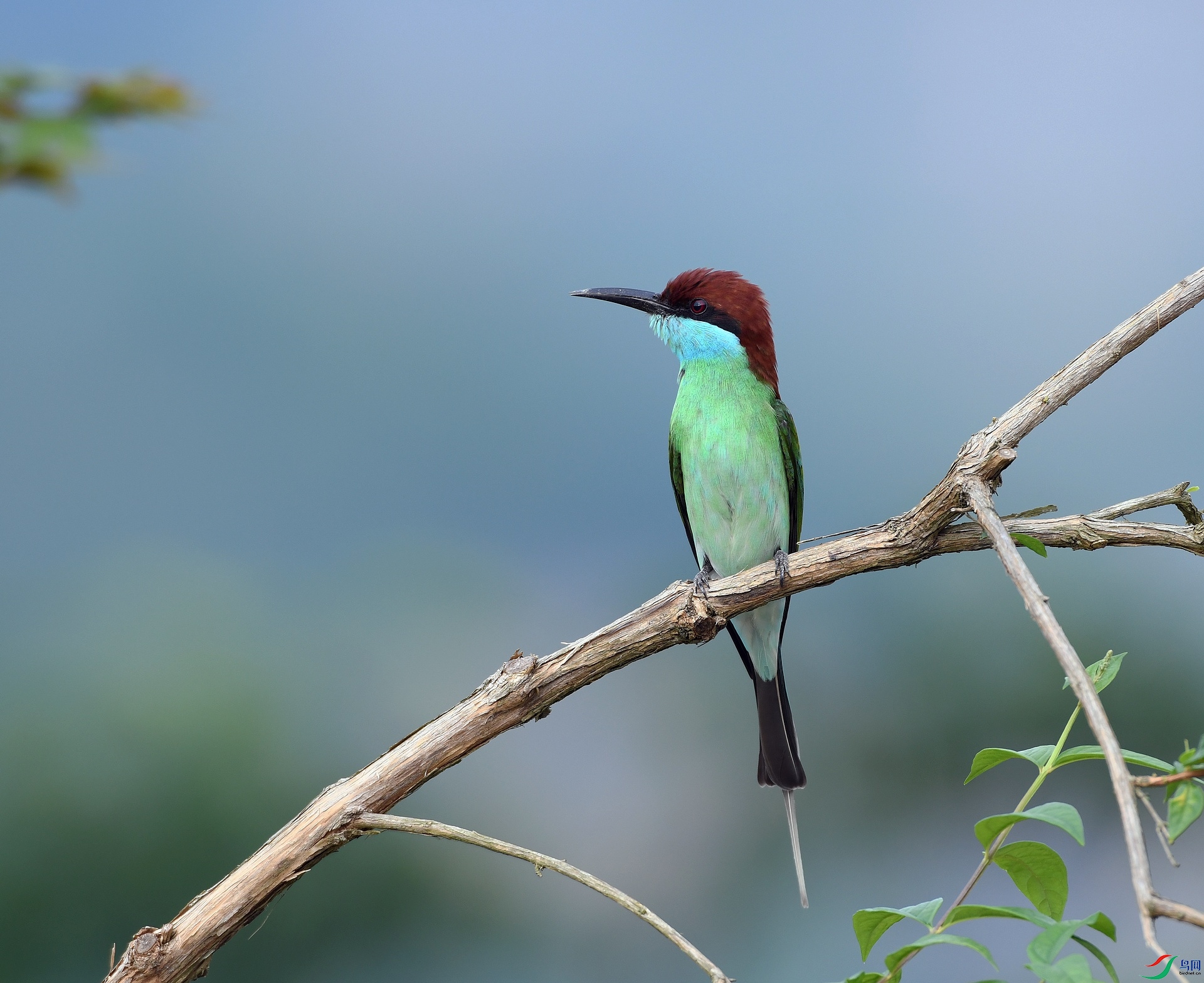 DSC_3052.jpg