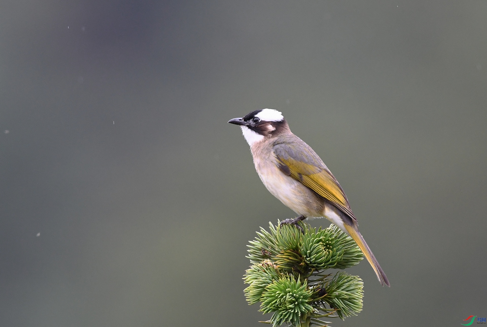 DSC_2473.jpg