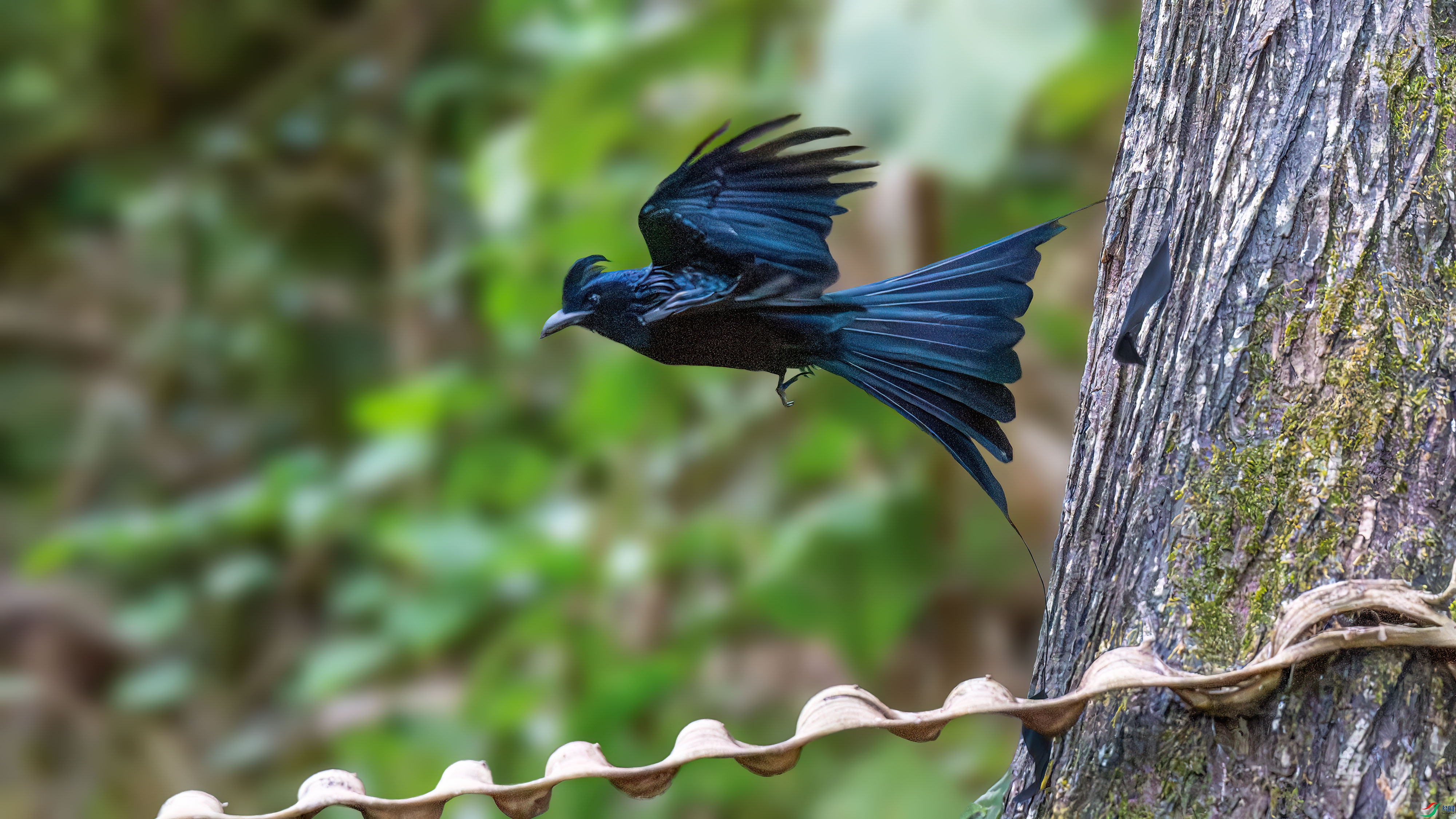 DSC_6418.jpg