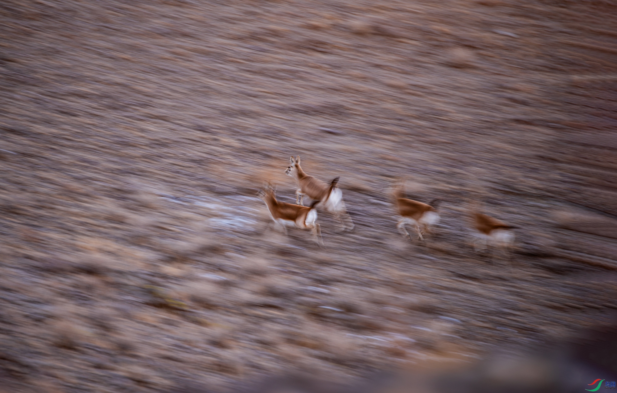 DSC_7139.jpg