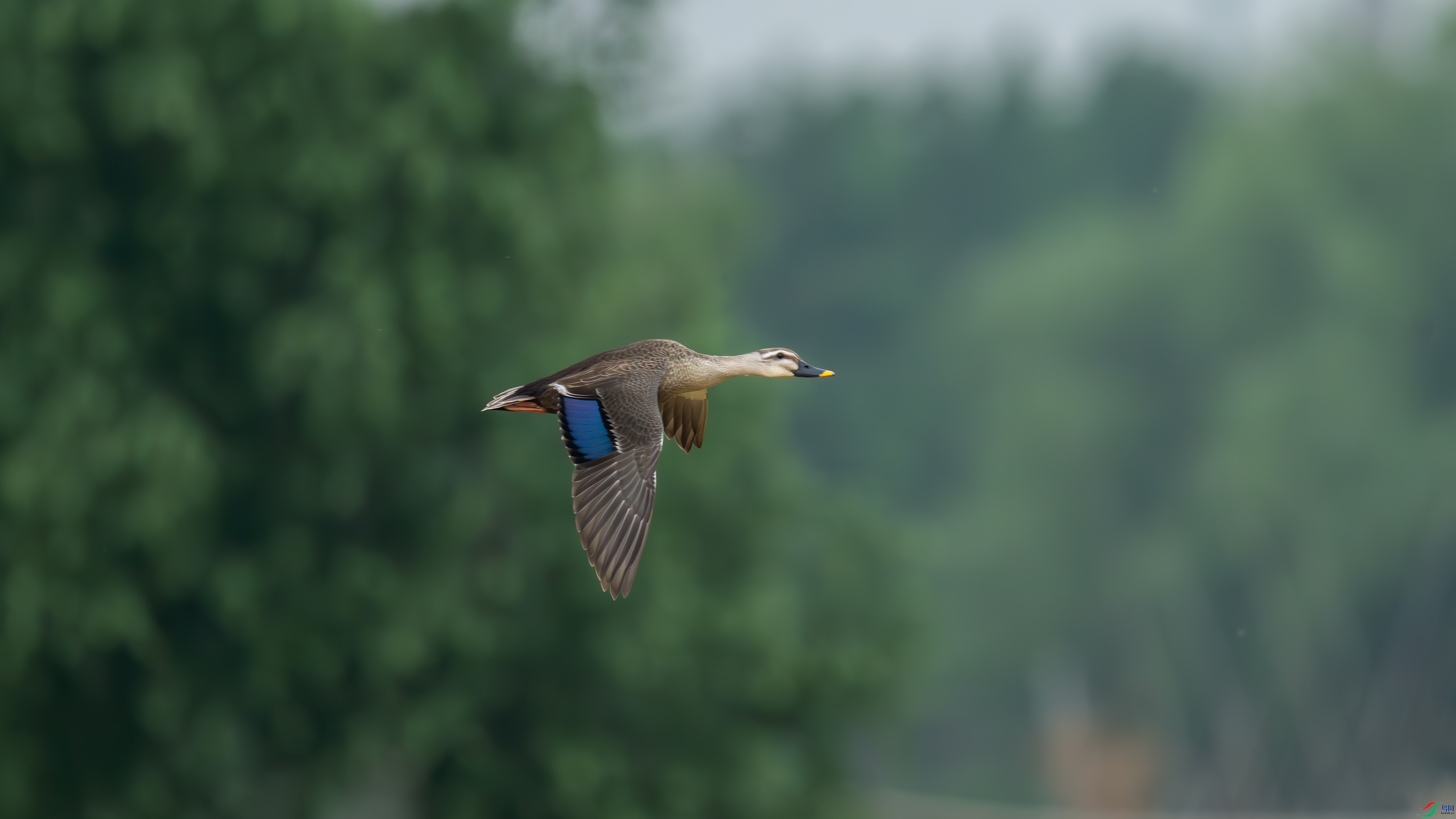 DSC_5839.jpg
