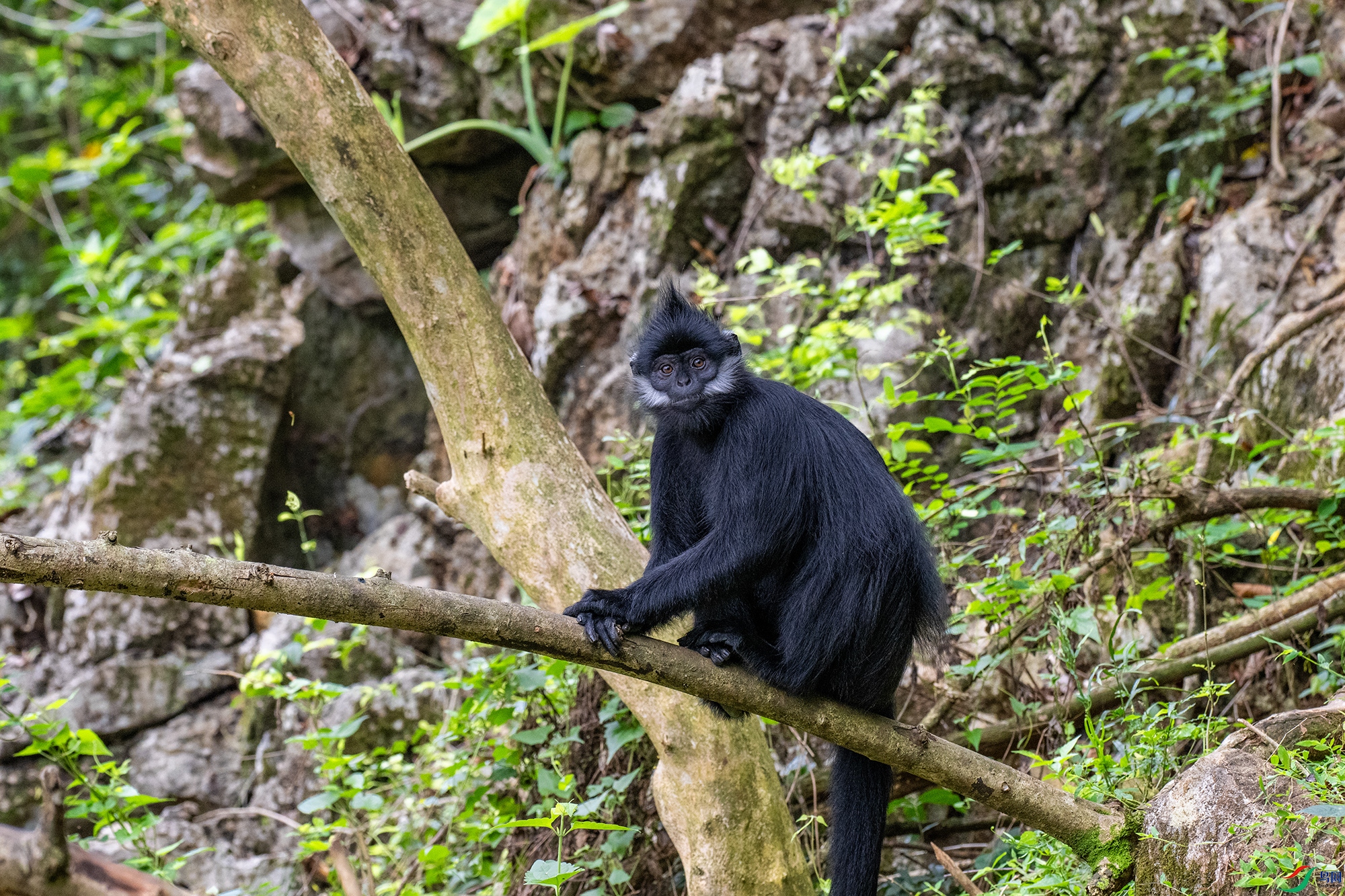DSC_1430-1 ����.jpg