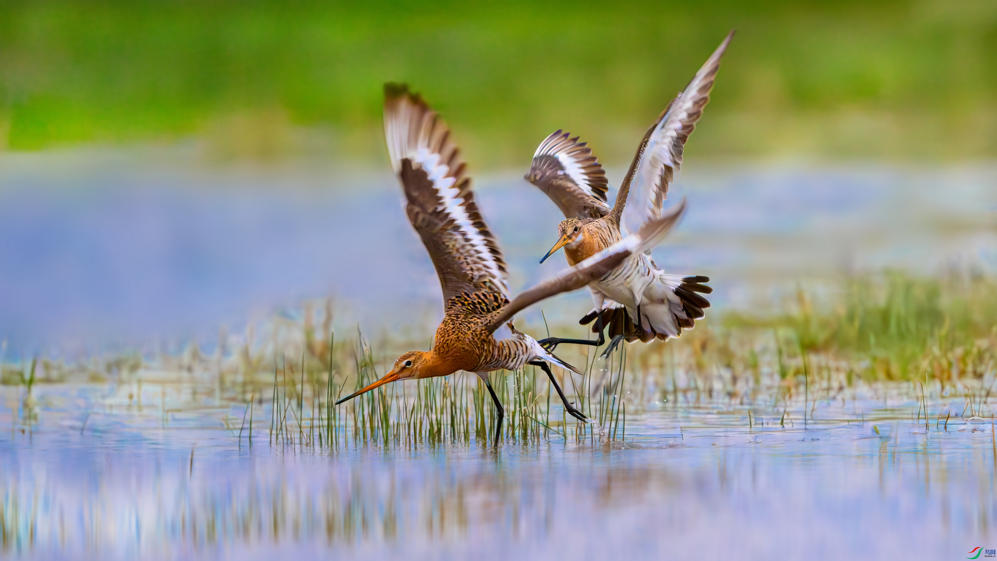 ��Ƭ_DSC5284-����ǿ-NR.jpg