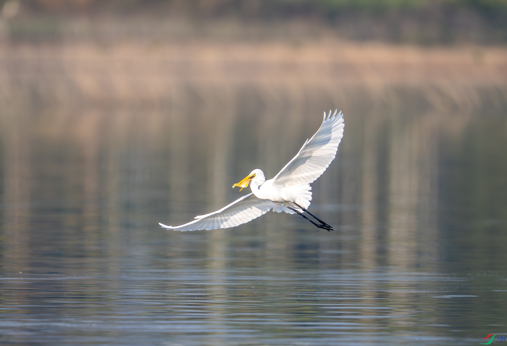 DSC_1139-1.jpg