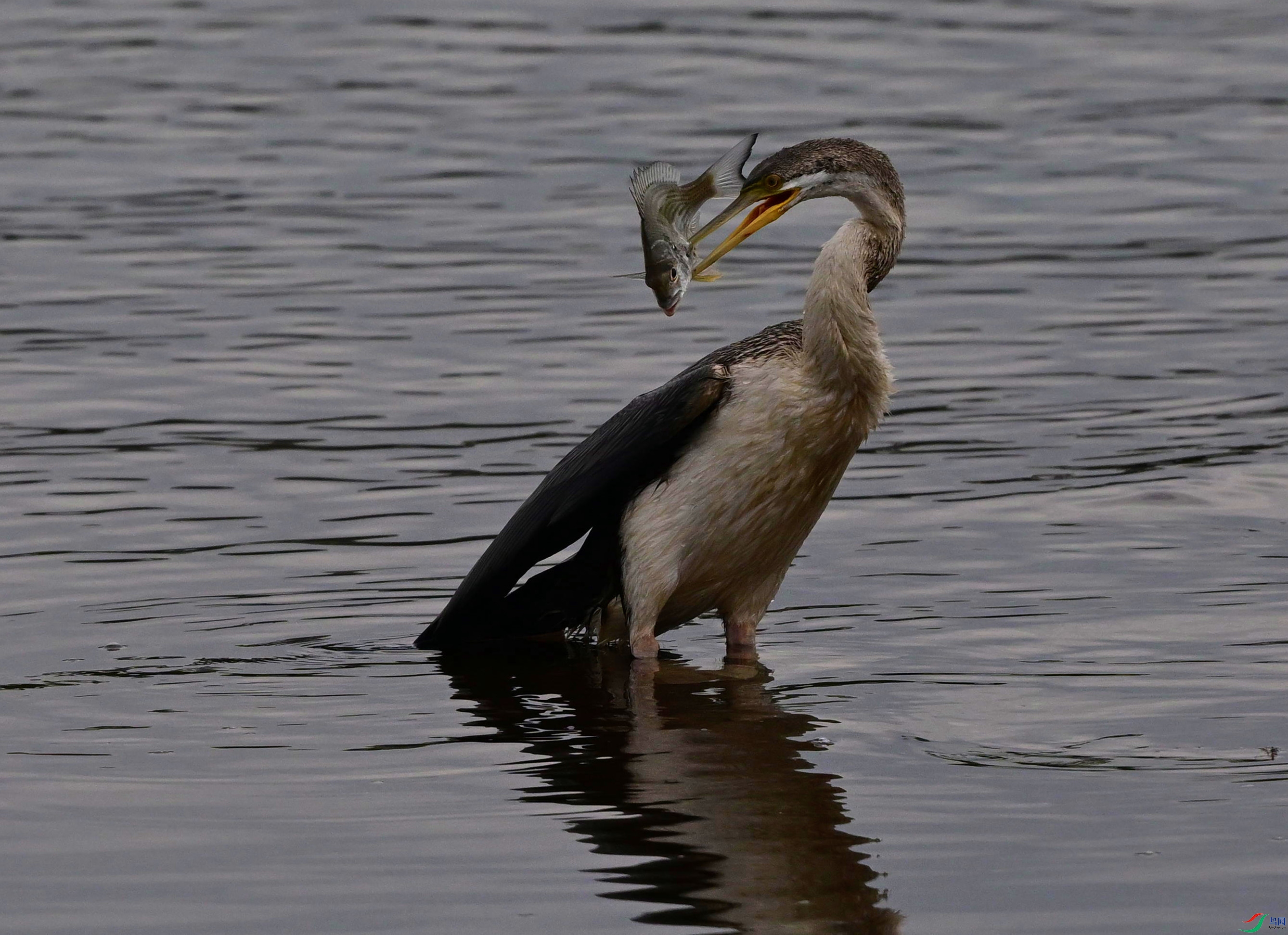 DSC_7901_��ͼ��_����.jpg