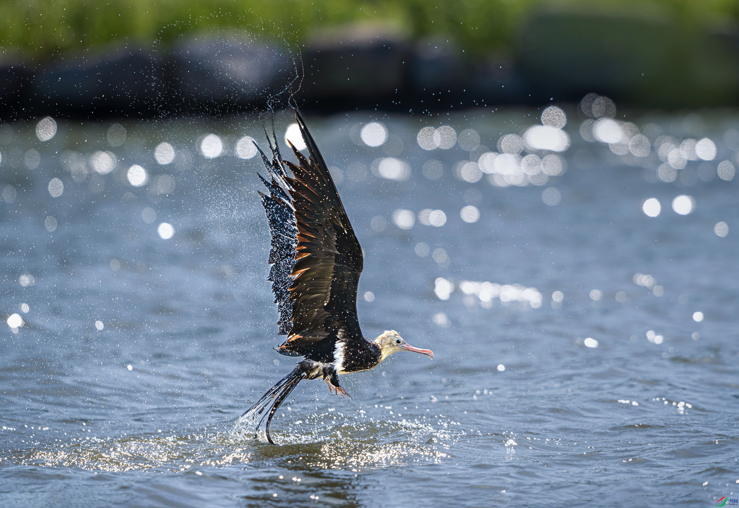 DSC_7184.jpg