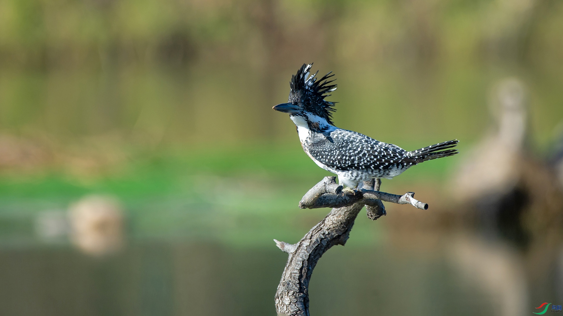 _DSC4240-20211113�ü�.jpg