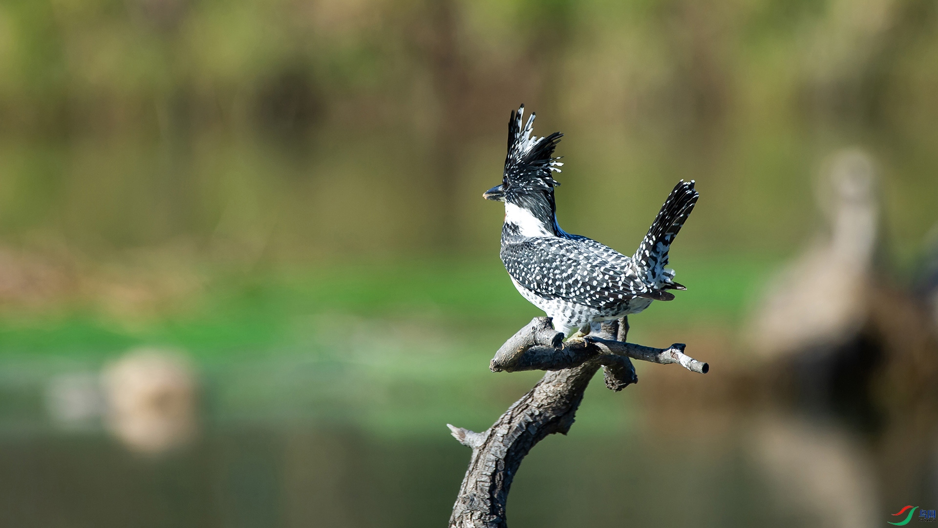 _DSC4254-20211113�ü�.jpg
