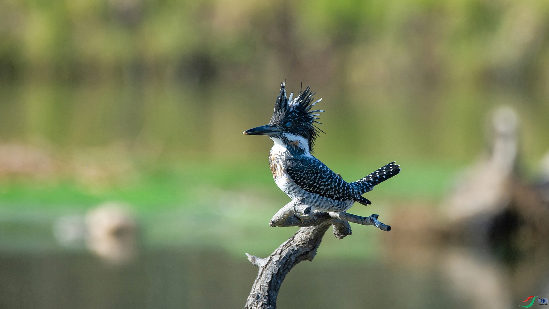 _DSC4323-20211113�ü�.jpg