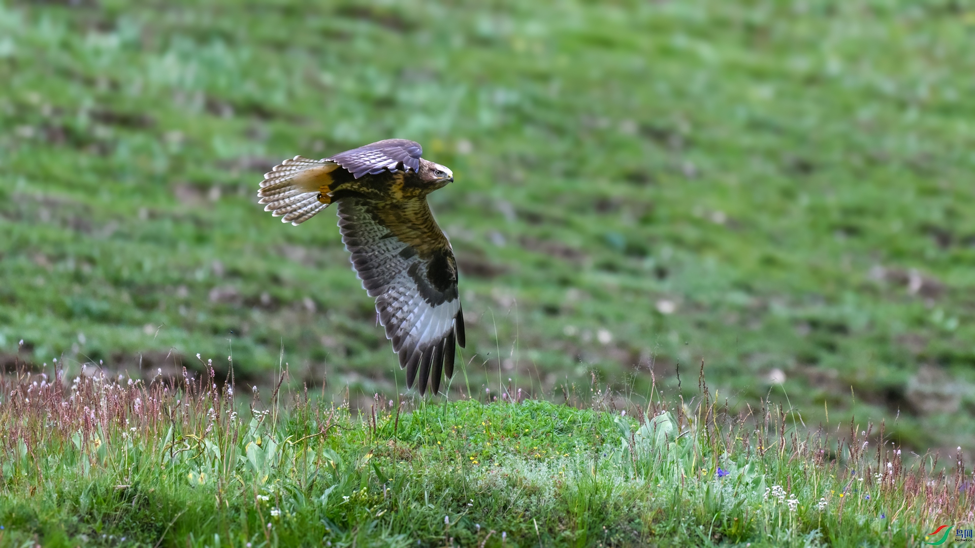 DSC_9444_����.jpg
