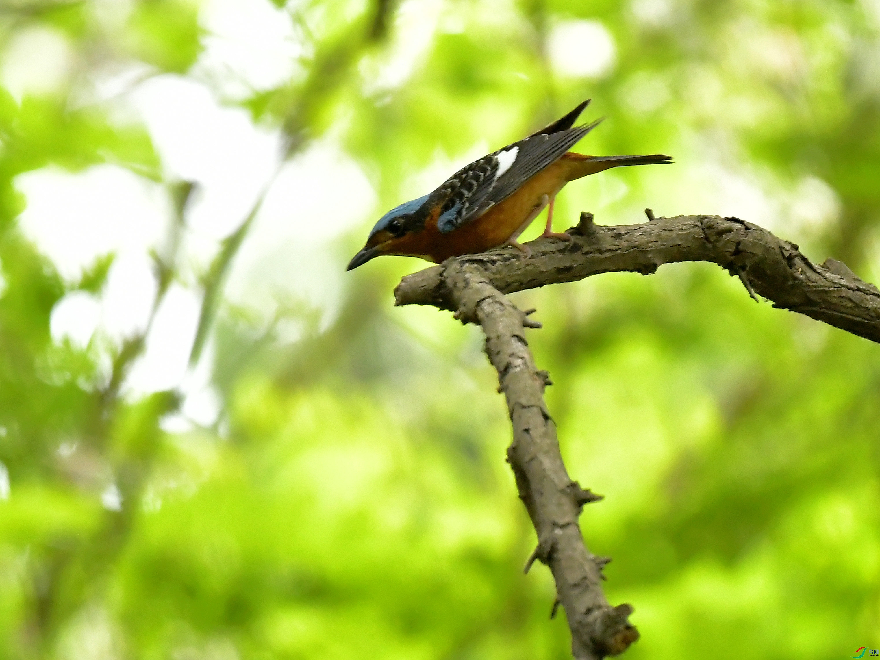 DSC_5882.jpg