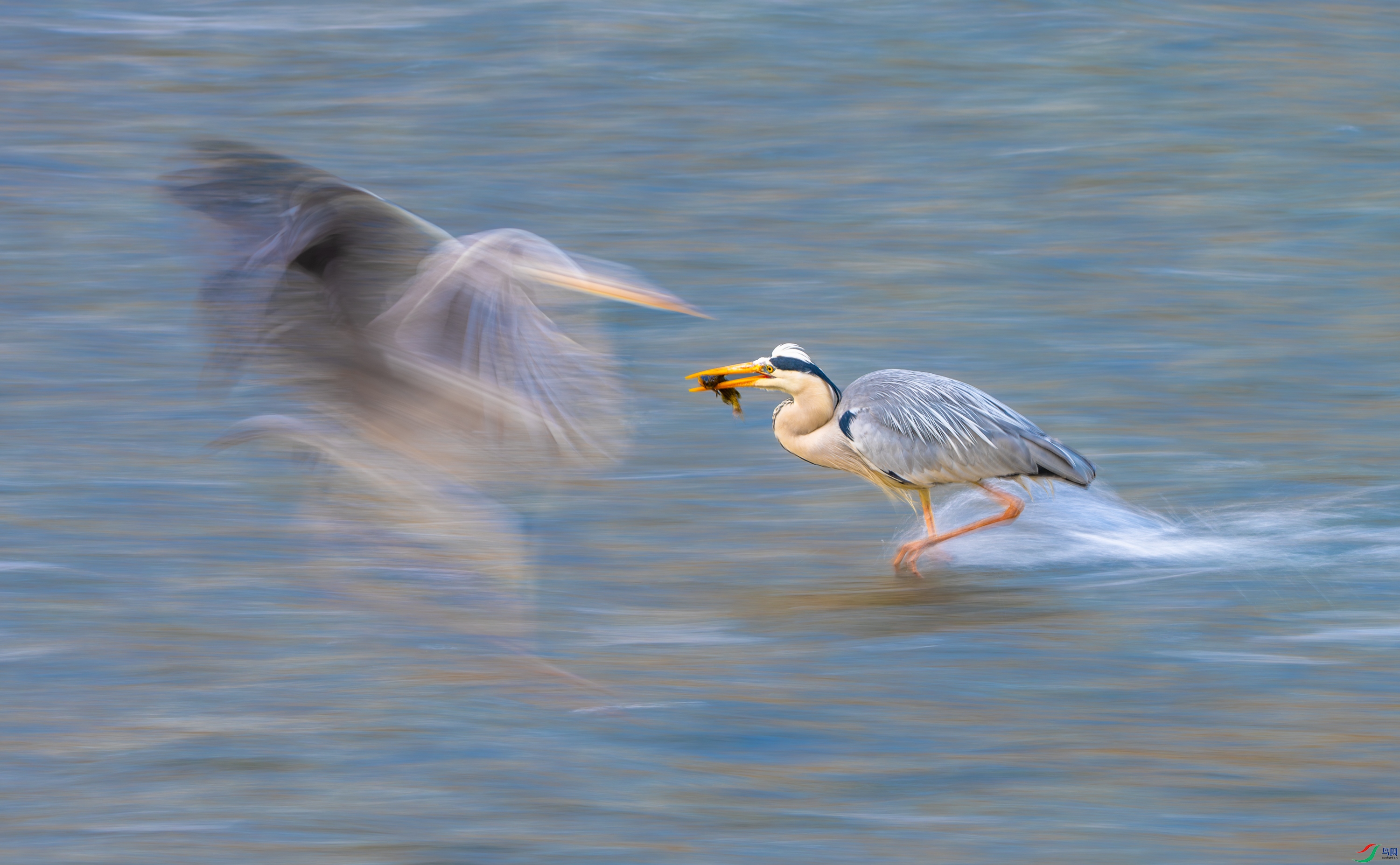 DSC_3512-11.jpg