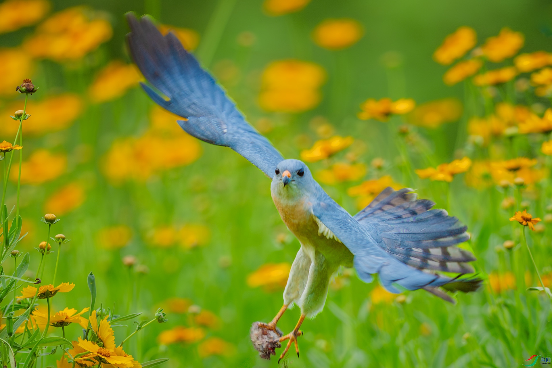 DSC_9738.jpg
