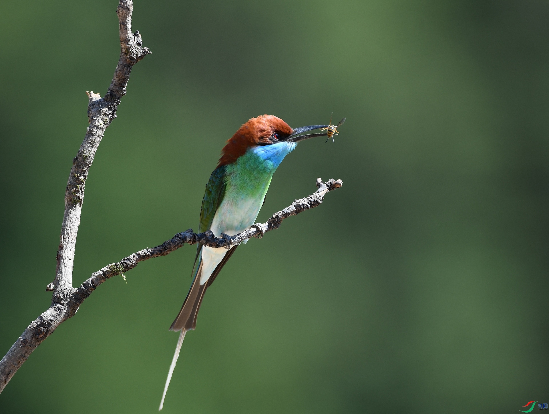 DSC_4193.jpg