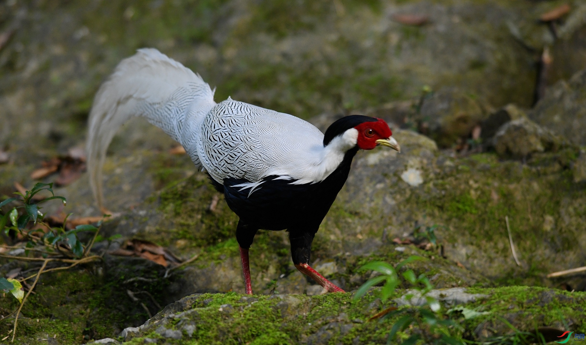 DSC_2928.jpg