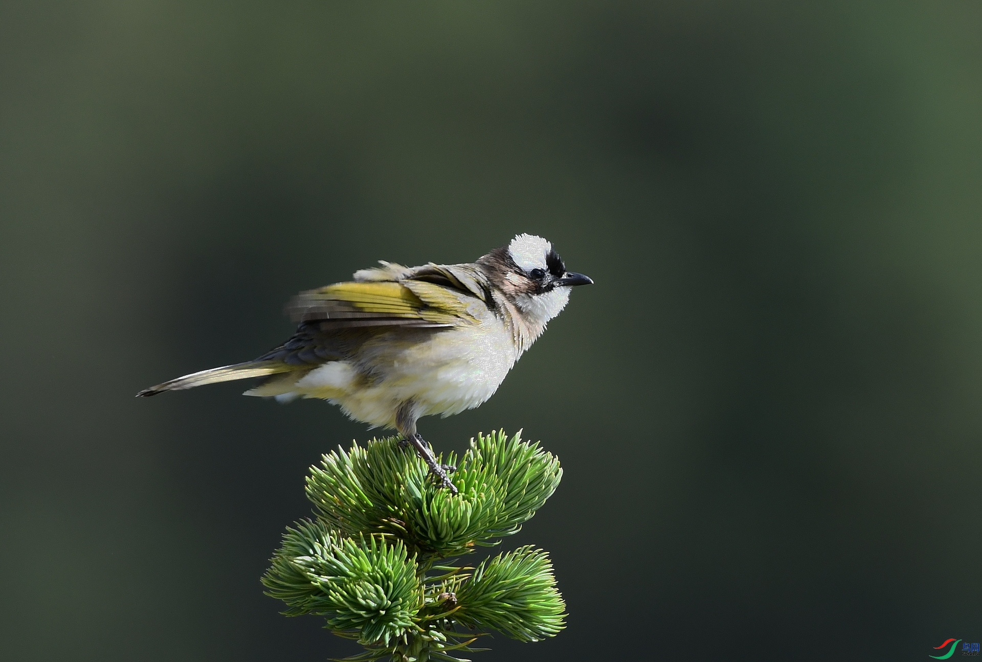 DSC_3744.jpg