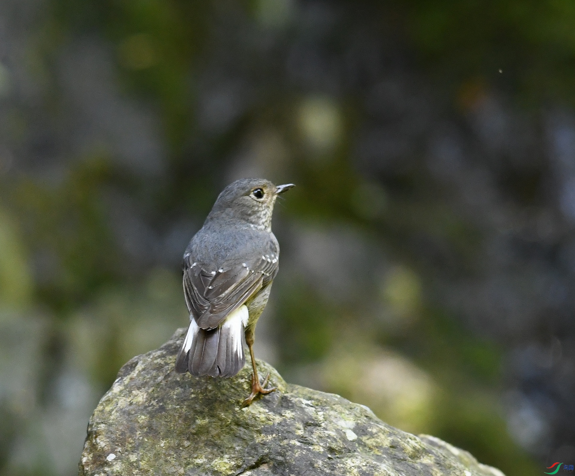 DSC_2301.jpg