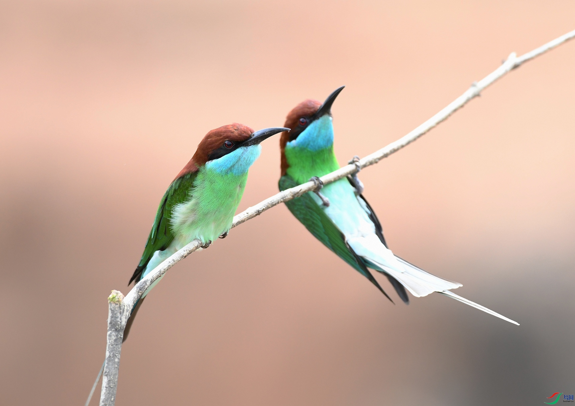 DSC_0650.jpg