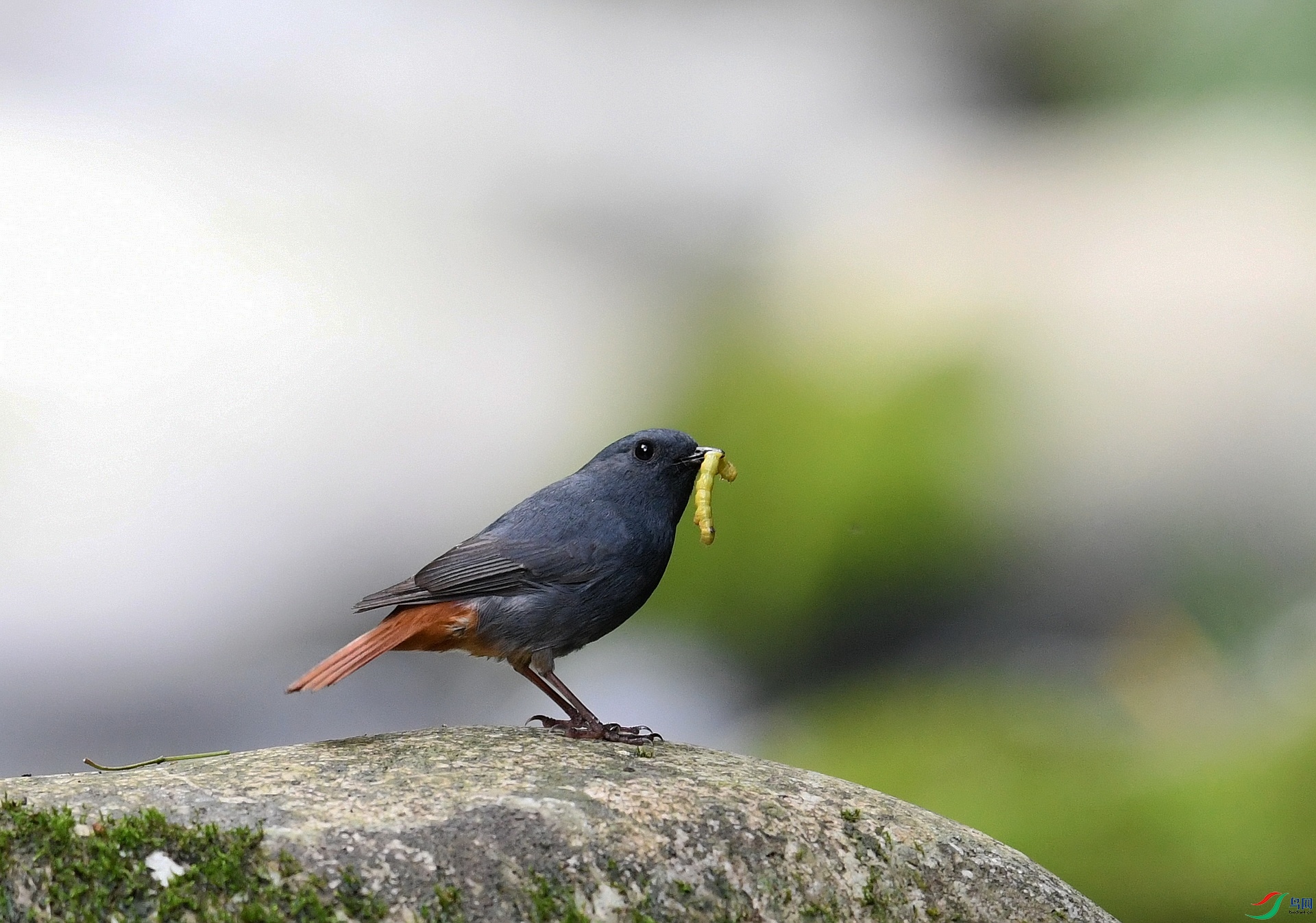 DSC_3837.jpg