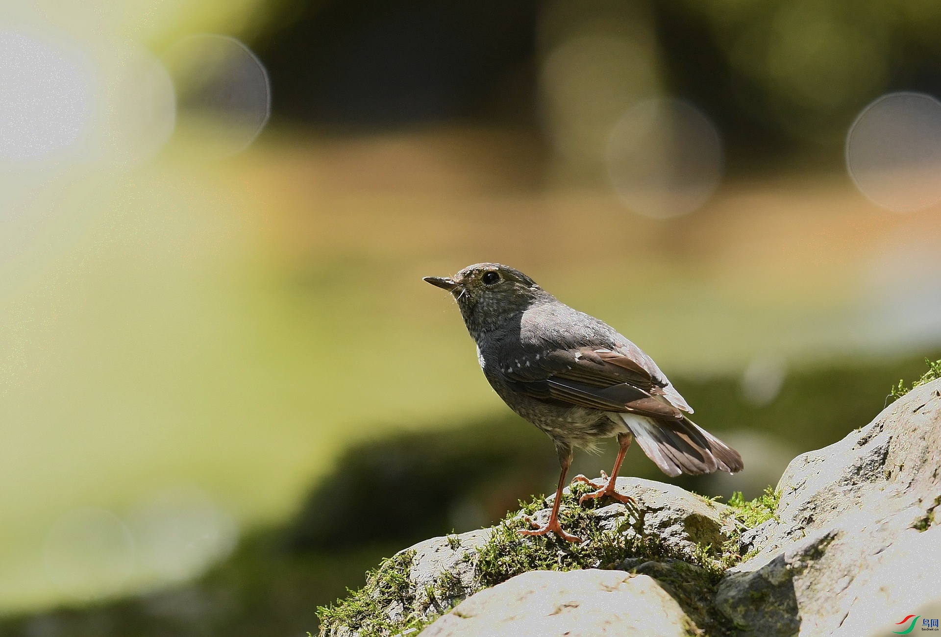 DSC_2316.jpg
