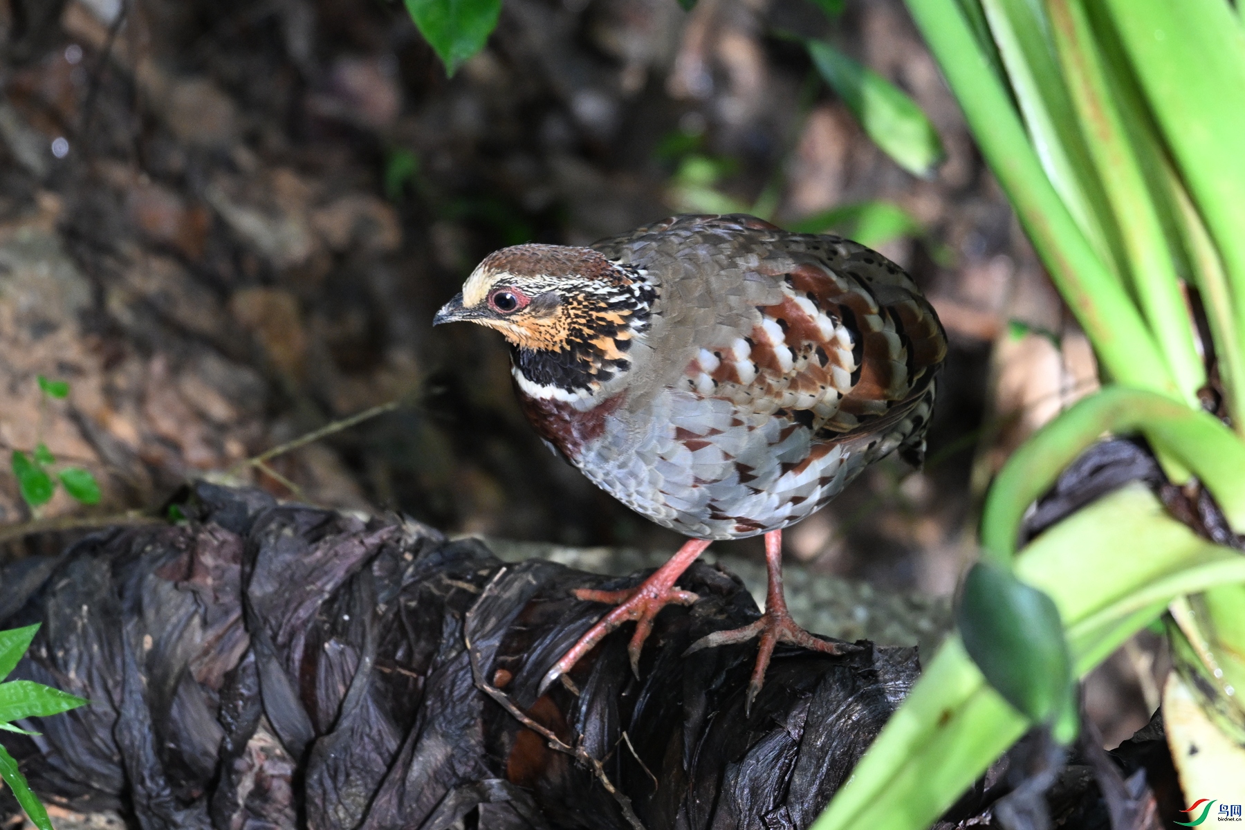 DSC_3789.JPG
