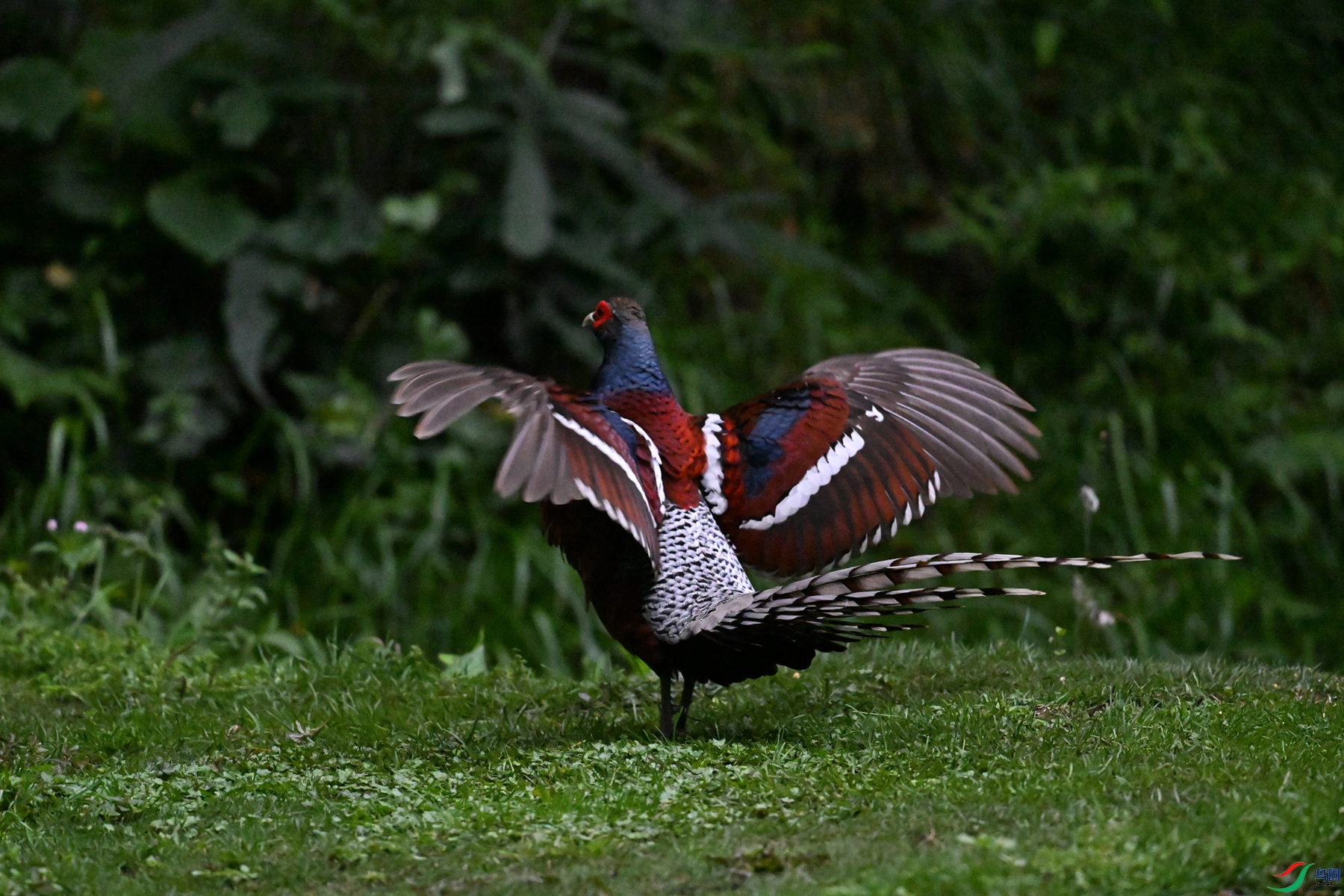 DSC_3257.JPG