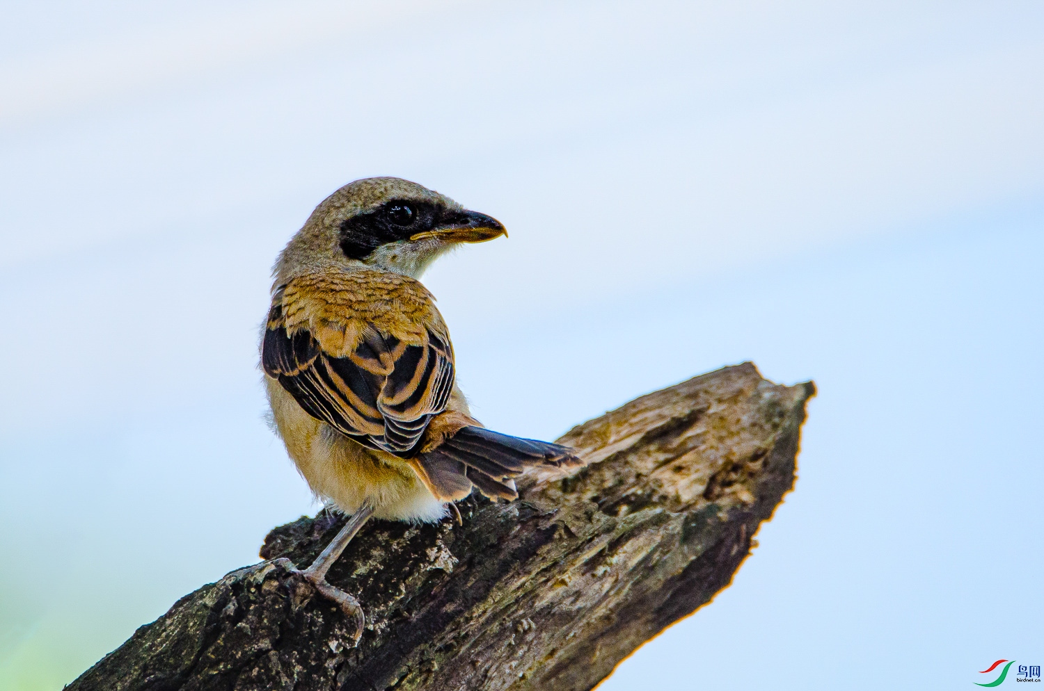 DSC_7847.jpg