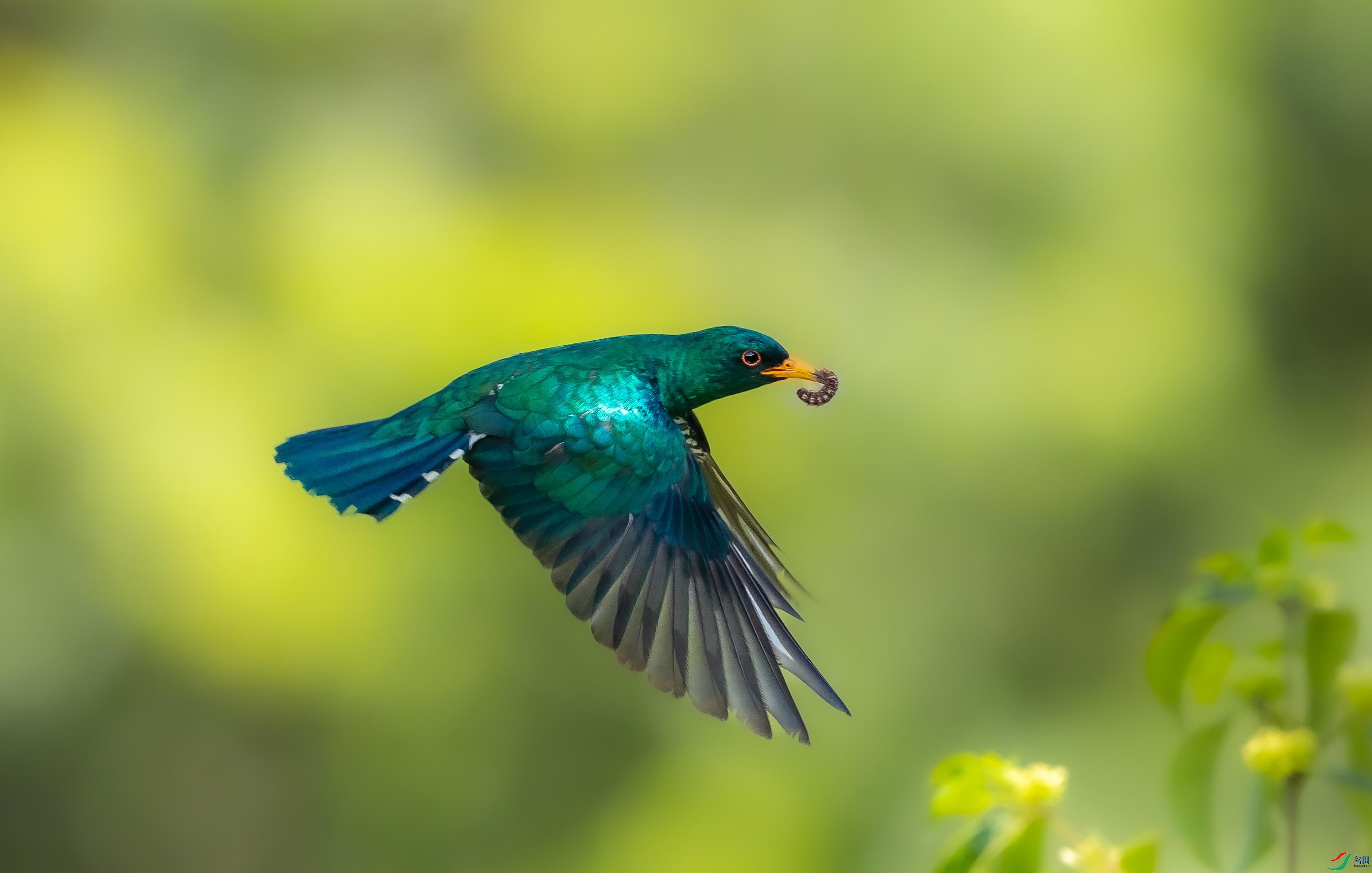 0I3A7610.jpg