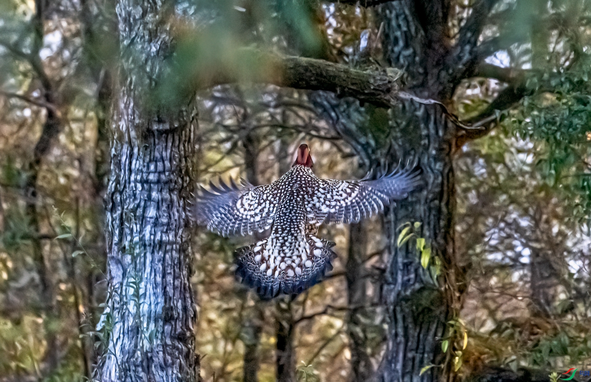 DSC_5603-11.jpg