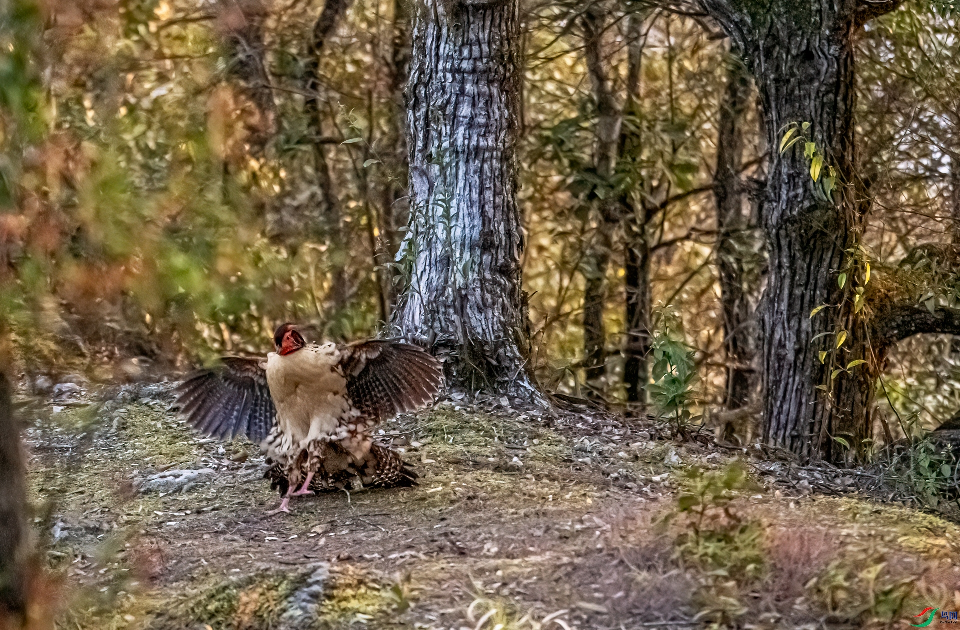 DSC_5721-11.jpg