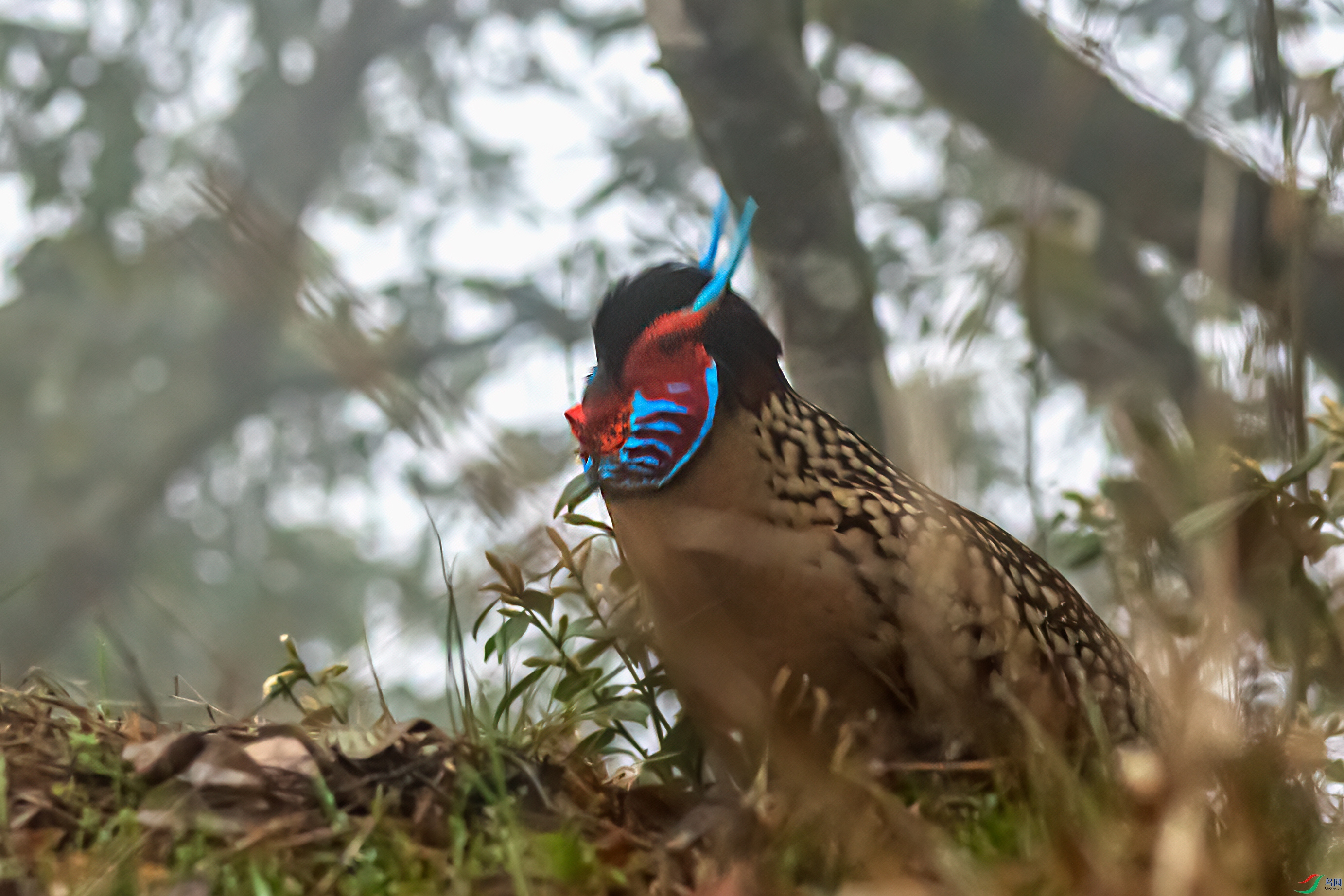 DSC_8403-11.jpg