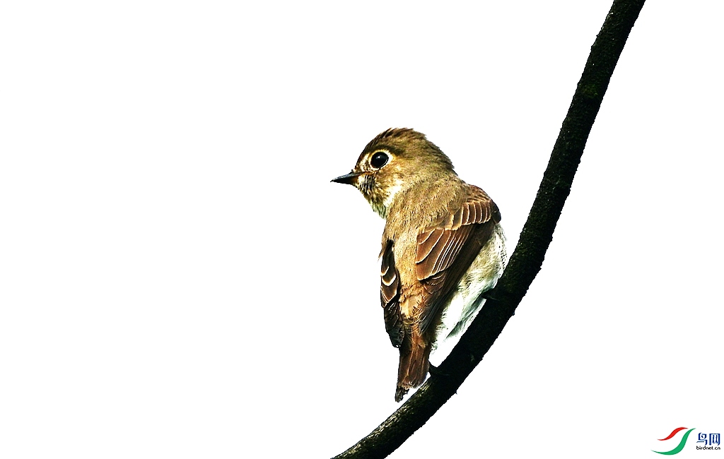 DSC_2873.JPG