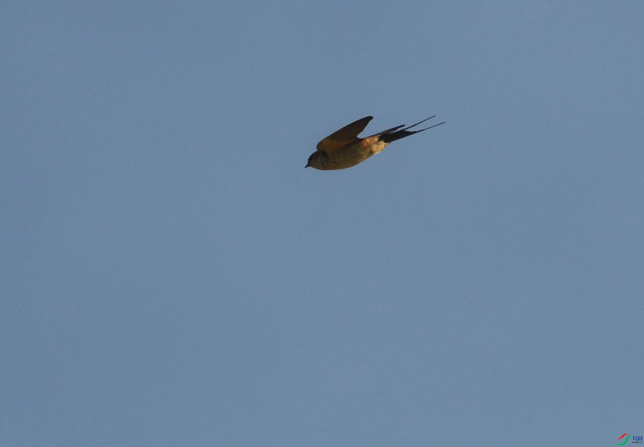 P5105057(1).jpg