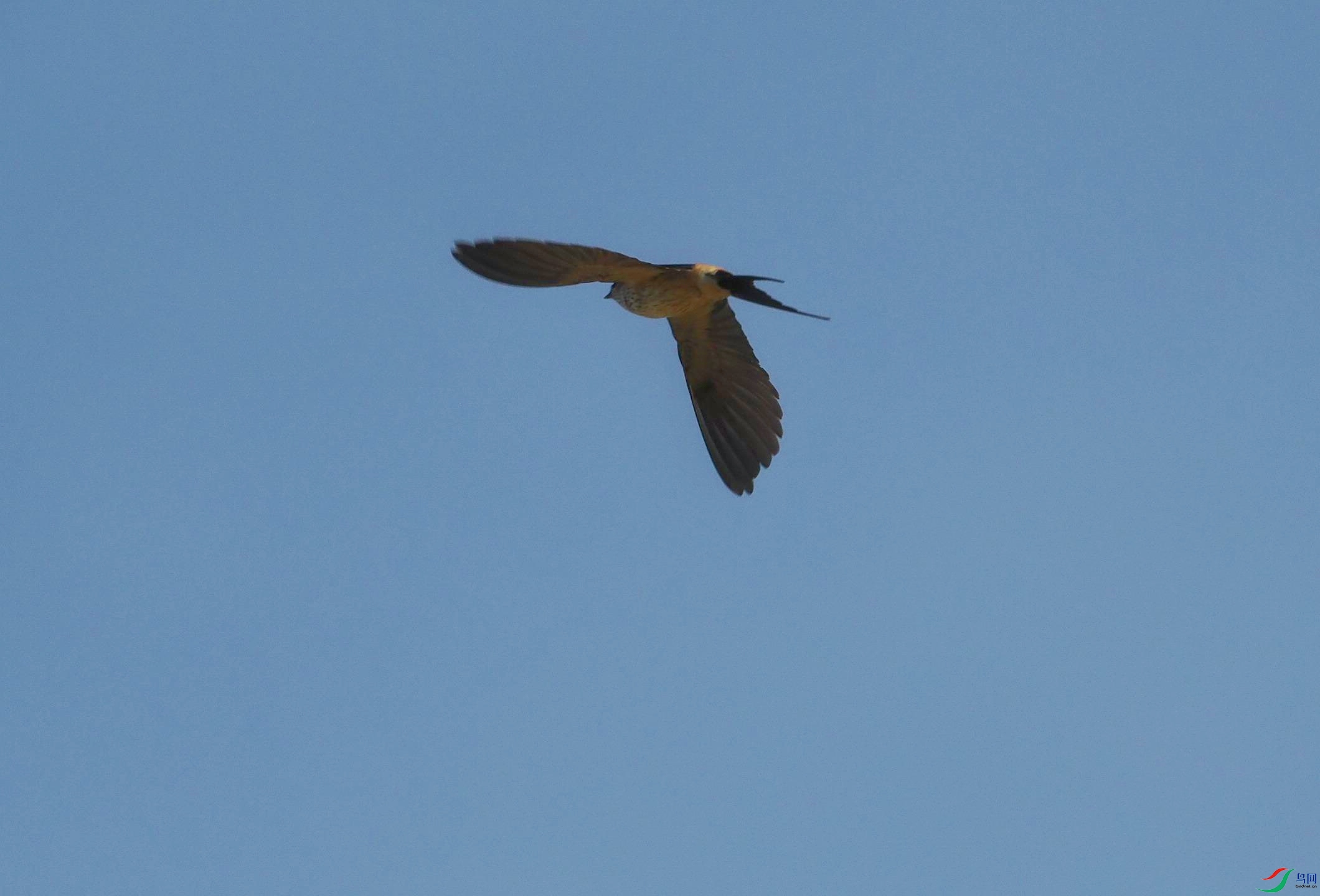P5105081(1).jpg
