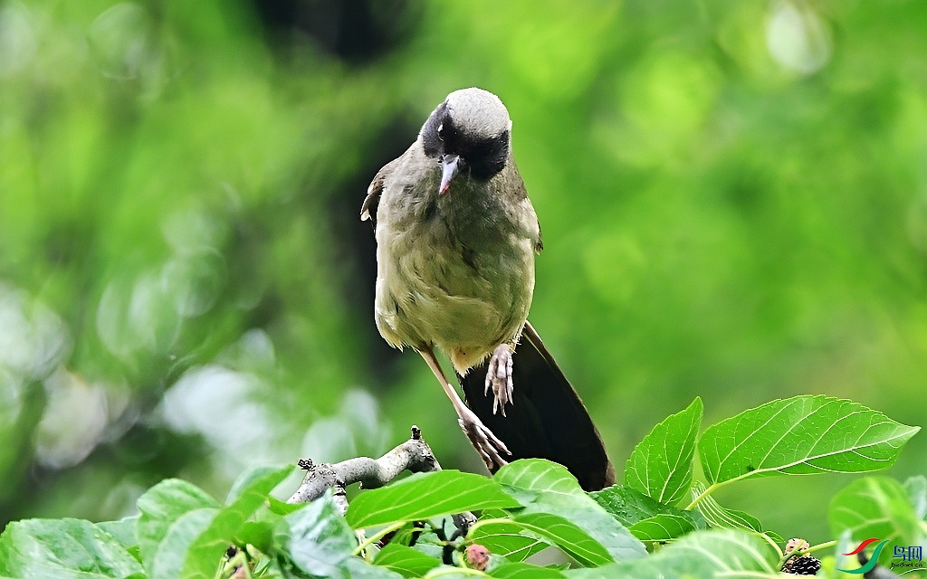 DSC_3058.JPG