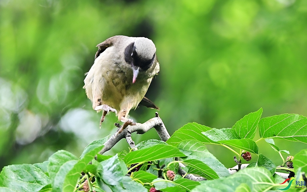 DSC_3059.JPG