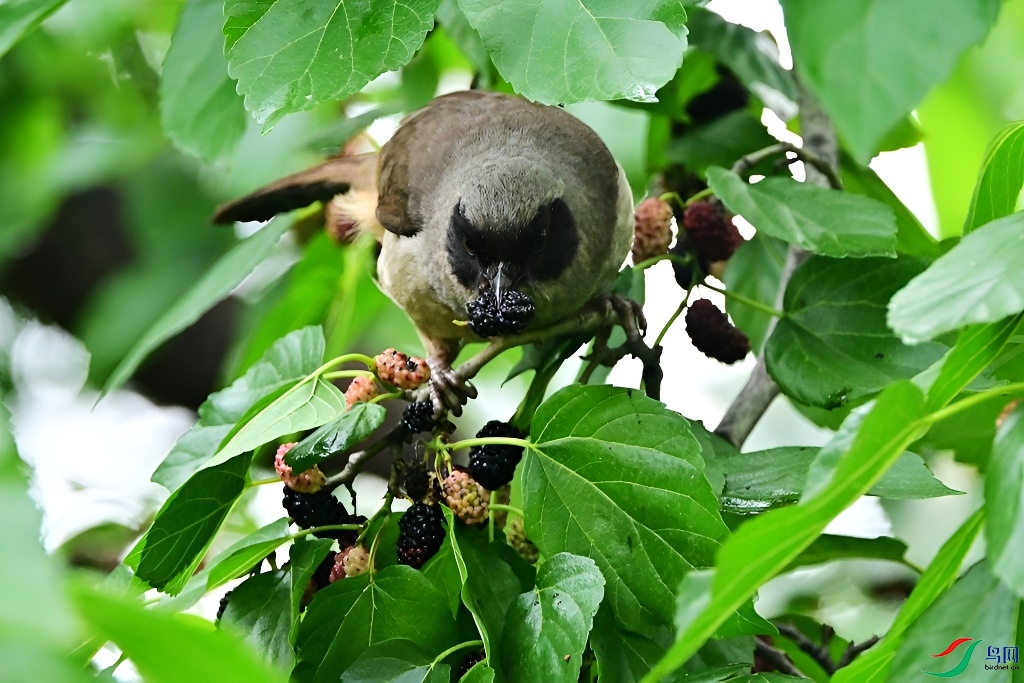 DSC_3204.JPG