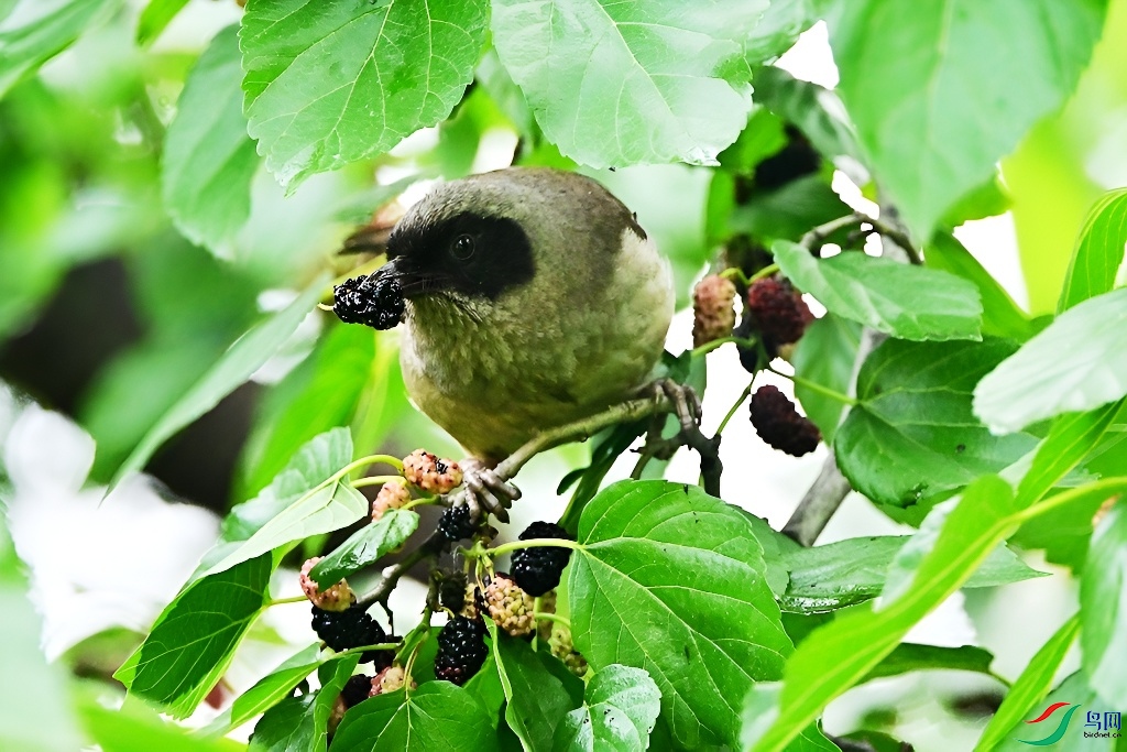 DSC_3217.JPG