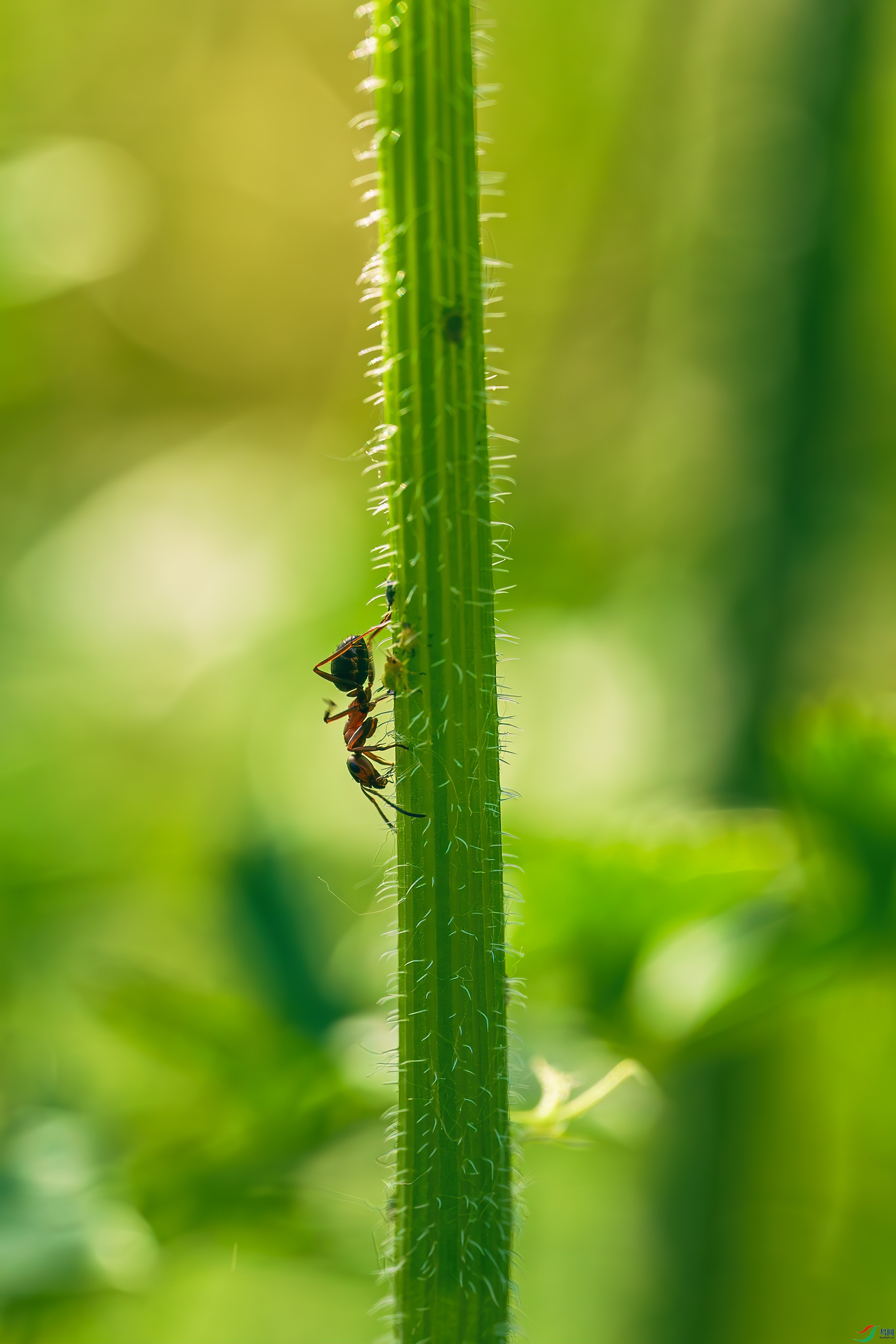 DSC01877_����.jpg
