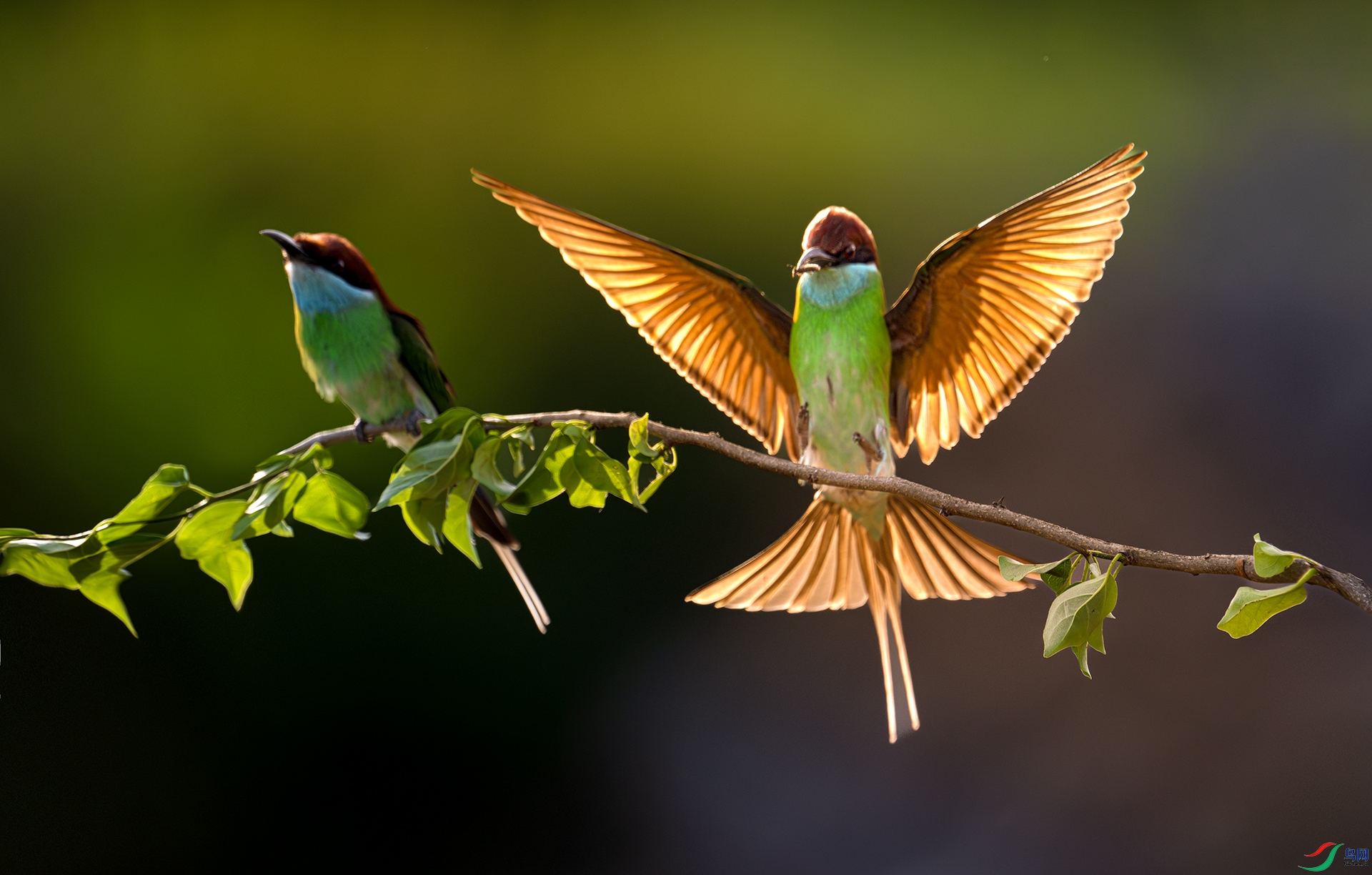 ����DSC_6493.jpg