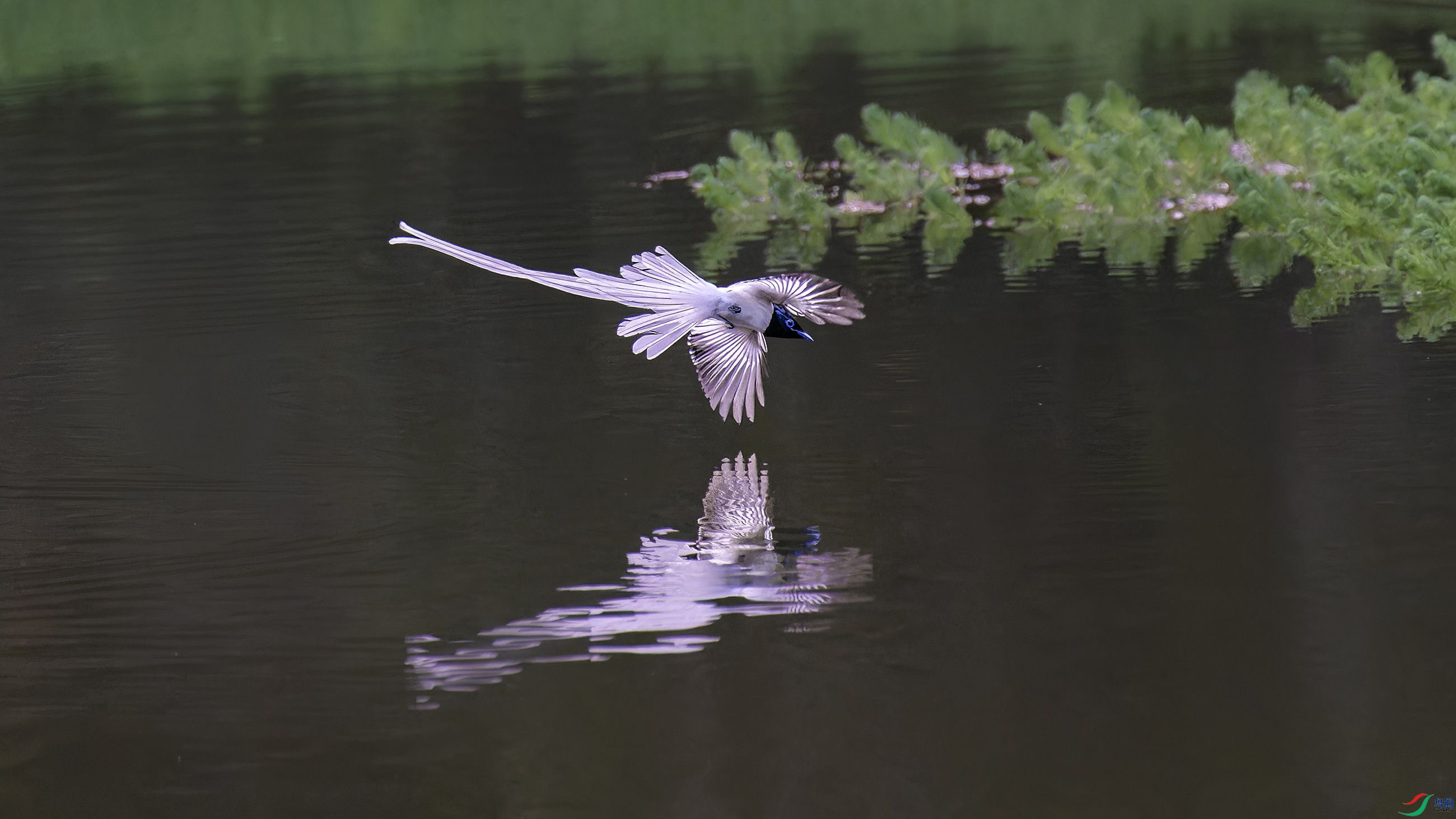 DSC_0017_DxO.jpg